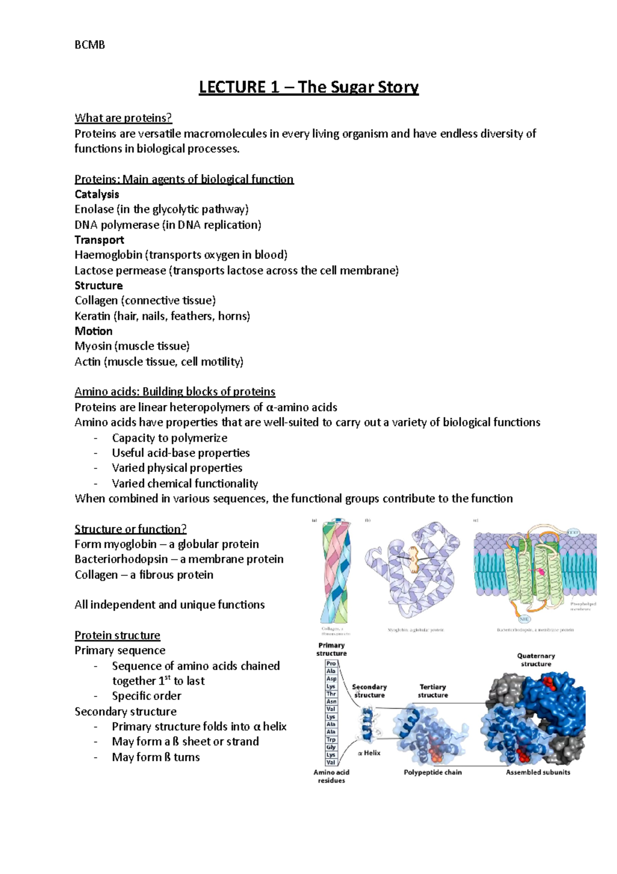 BCMB Week 1 - Lecture Notes - LECTURE 1 – The Sugar Story What Are ...