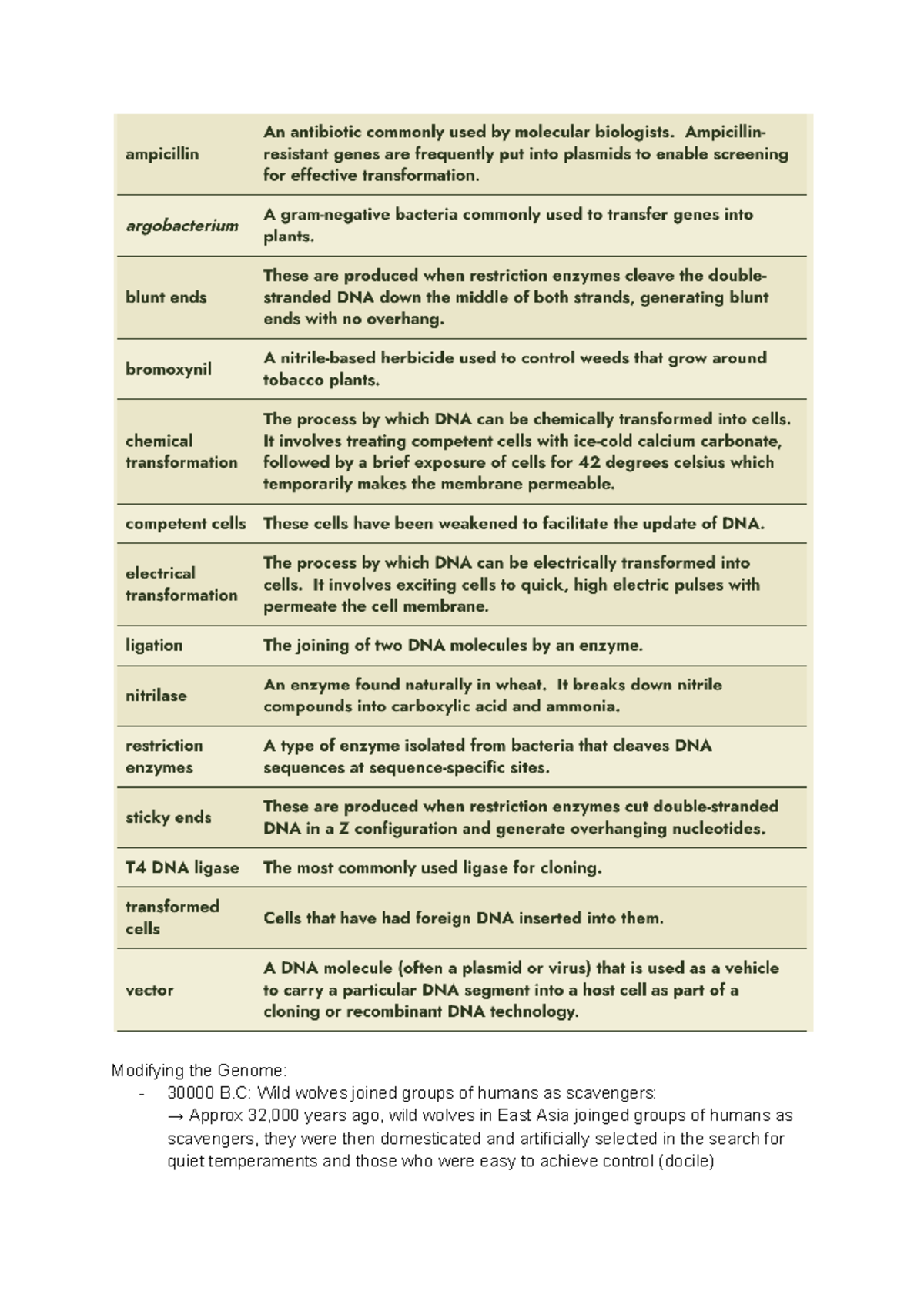 Molecular Biology Studocu