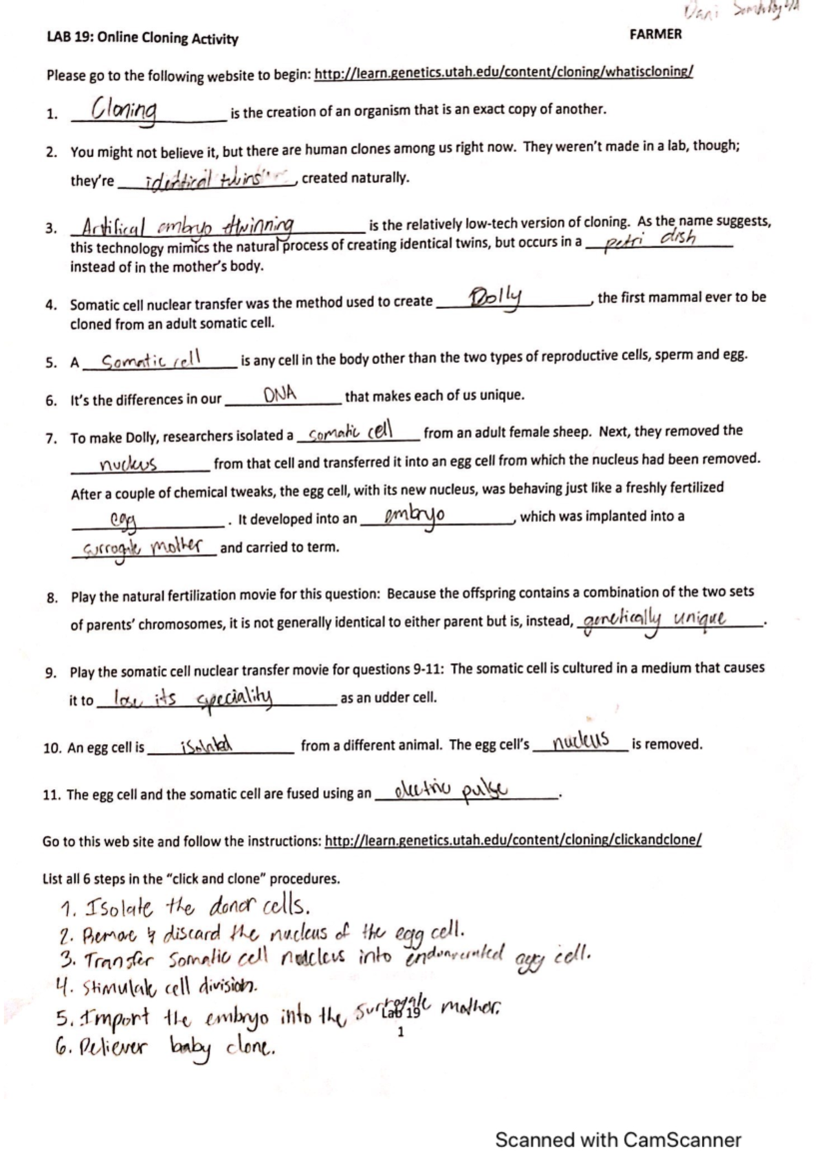 Cloning web activity (IB Bio) Studocu