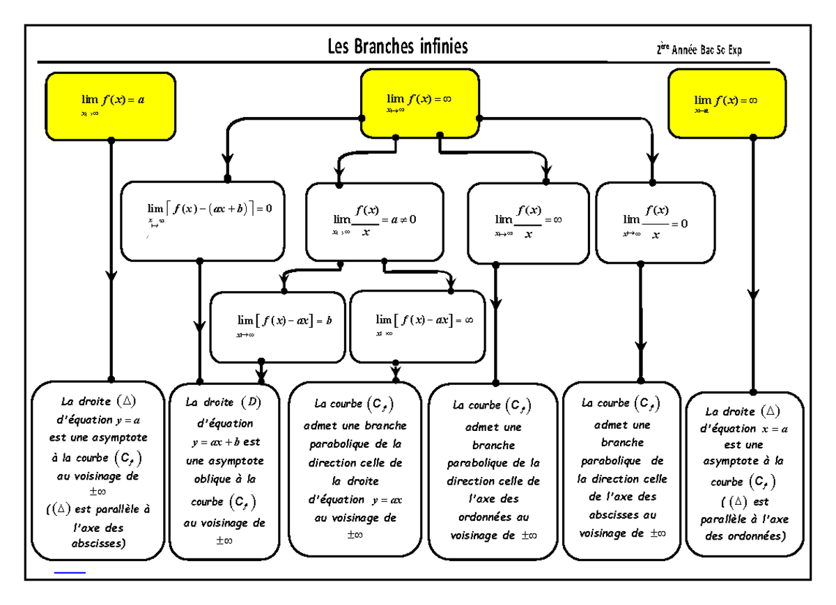 Branche De La Serie Ramifiee Par Branche