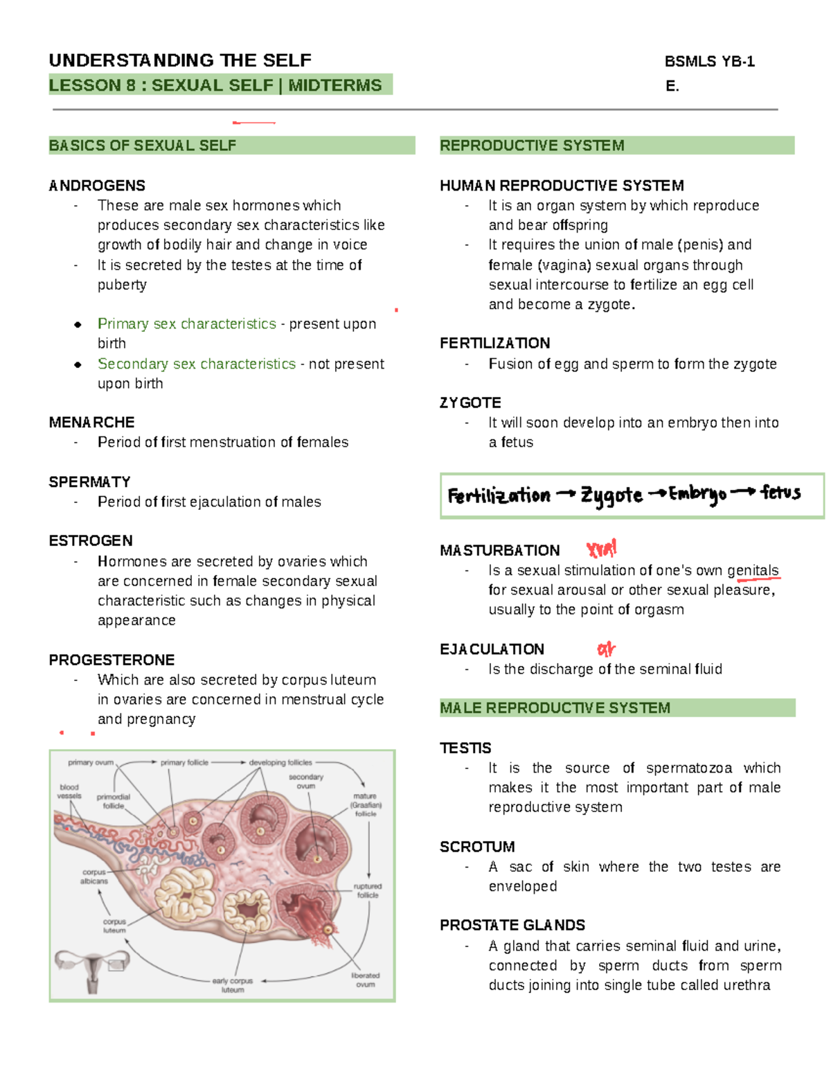 MIDTERMS: Module 8 ( Sexual self ) - UNDERSTANDING THE SELF BSMLS ...