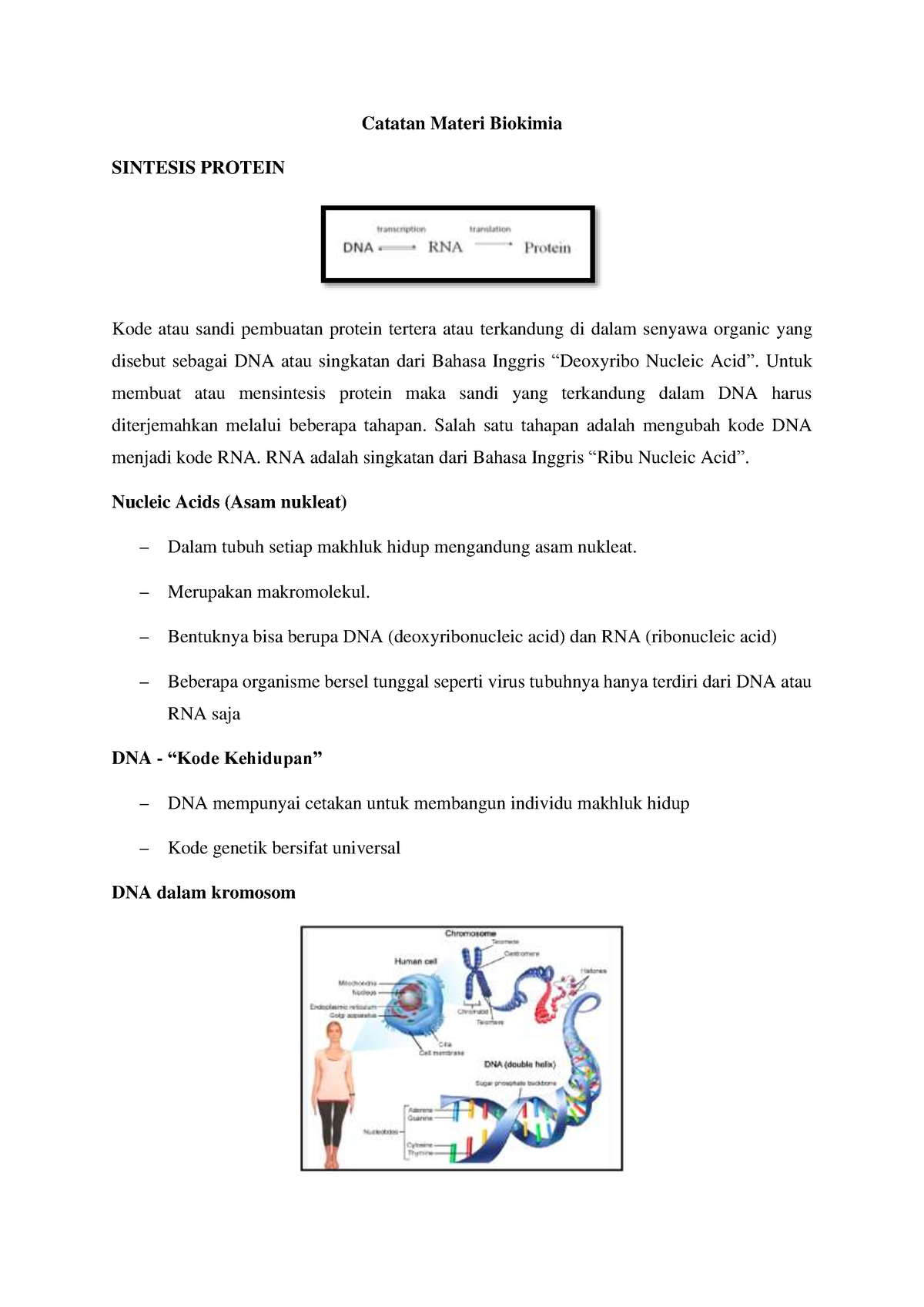 Catatan Materi Biokimia Sintesis Protein - Catatan Materi Biokimia ...