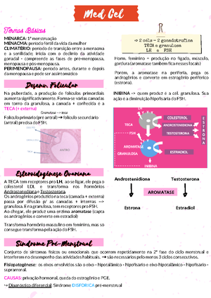 7 causas da menstruação irregular - Clinifemina