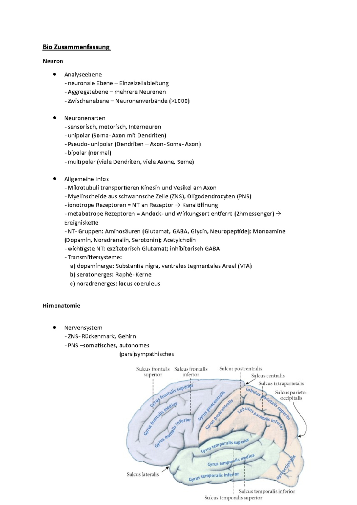 ZSMF BIO I - Zusammenfassung Biopsychologie - Bio Zusammenfassung ...