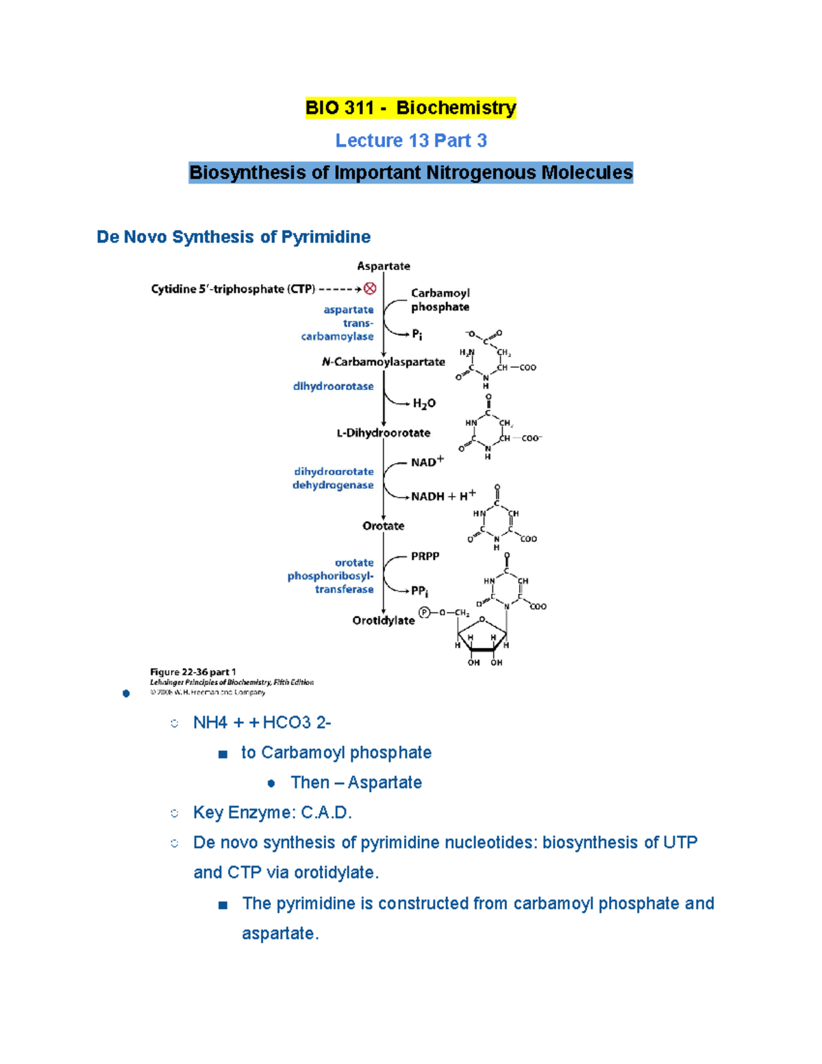 BIO 311 Lecture 13 Part 3 Fall 2020 - BIO 311 - Biochemistry Lecture 13 ...