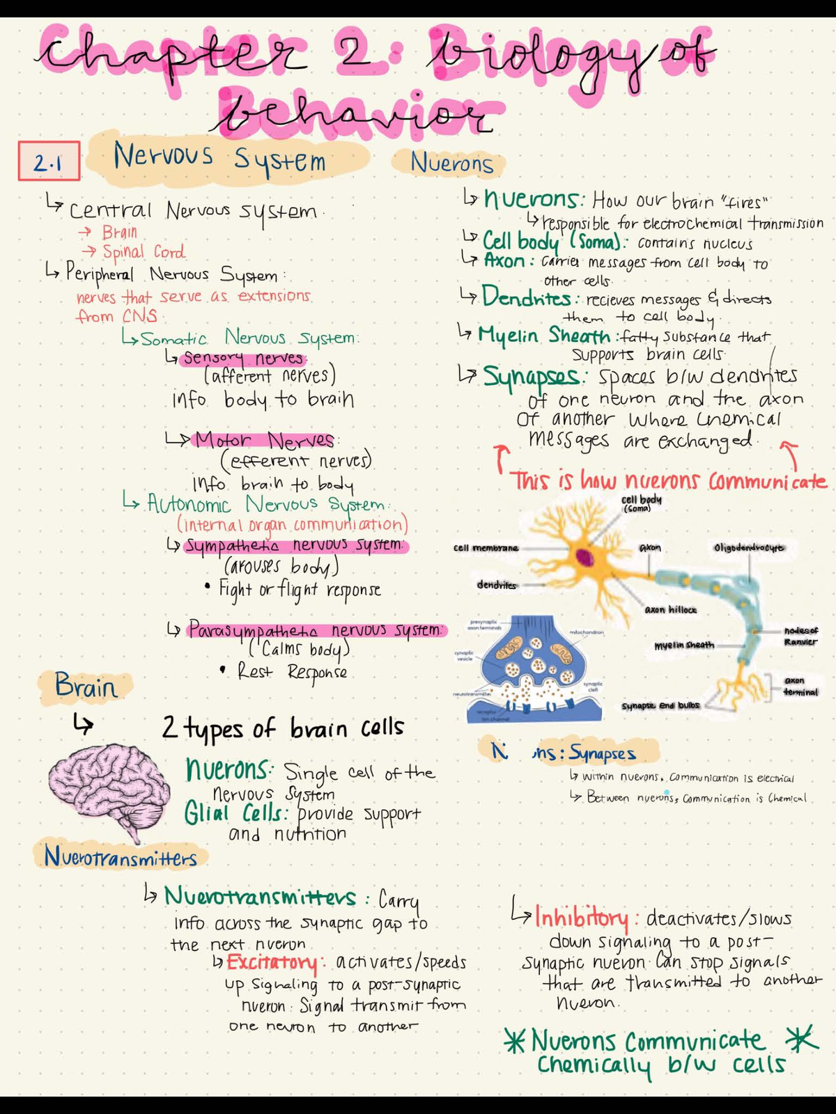 Psychology 2e Answer Key Chapter 1 Psychology 101 Course Cha