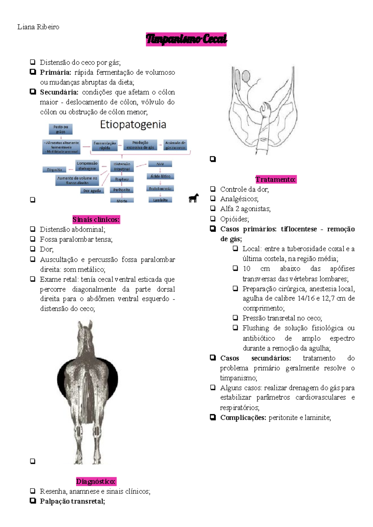 Timpanismo Cecal em equinos resumo Liana Ribeiro Timpanismo Cecal