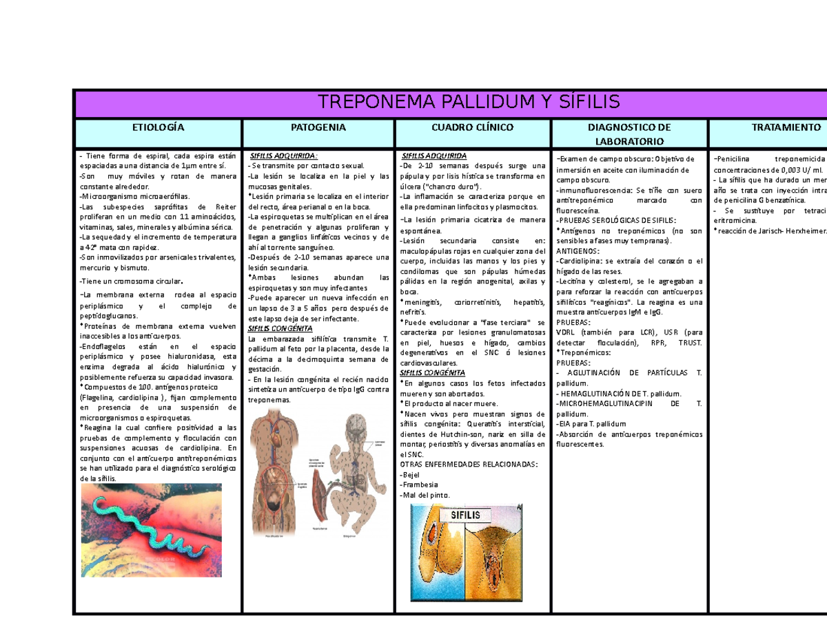 Treponema Pallidum Y SÍfilis - TREPONEMA PALLIDUM Y SÍFILIS ETIOLOGÍA  PATOGENIA CUADRO CLÍNICO - - StuDocu