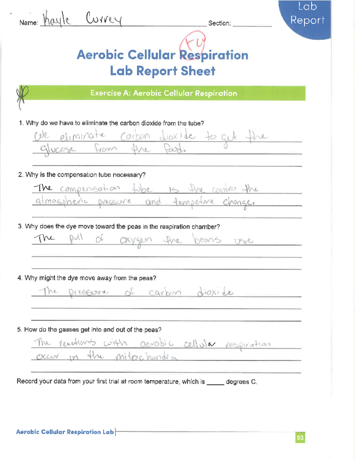 BSC2010C Cellular Respiration Lab - BSC 2010C - Studocu