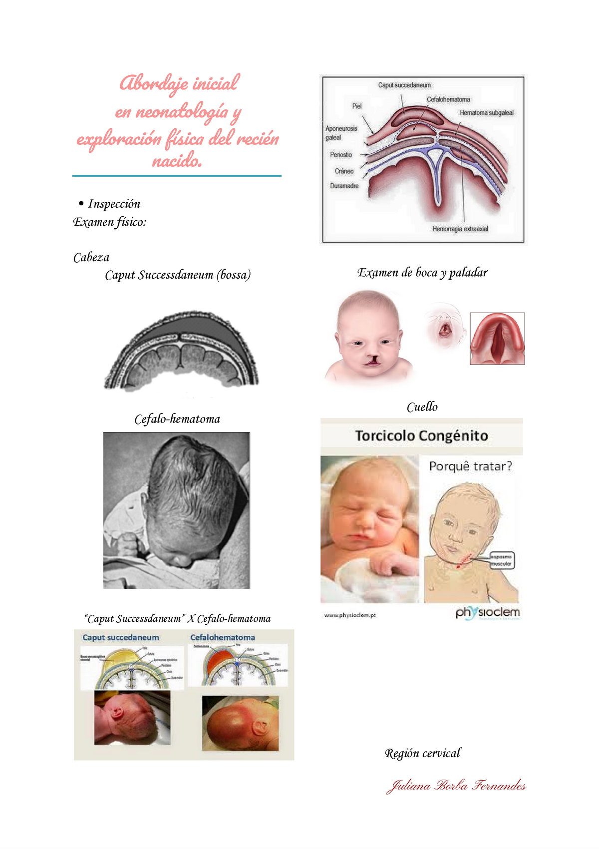 Abordaje Inicial En Neonatología Y Exploración Física Del Recién Nacido ...