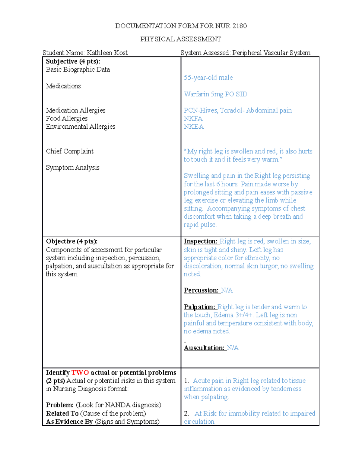 Perpheral Vascular System-DVT - DOCUMENTATION FORM FOR NUR 2180 ...