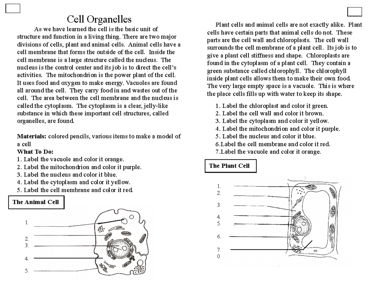 Cell Cool Cell Cell Organelles As We Have Learned The Cell Is The Basic Unit Of Structure