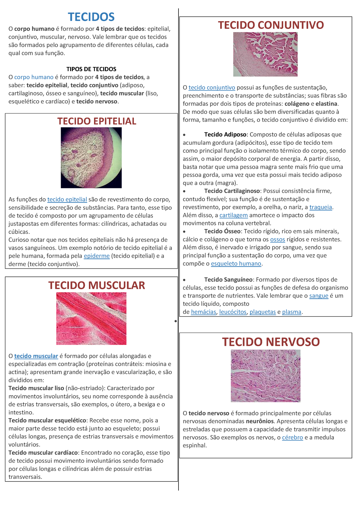 Resumo PARA Exame Biologia - TECIDOS O Corpo Humano È Formado Por 4 ...