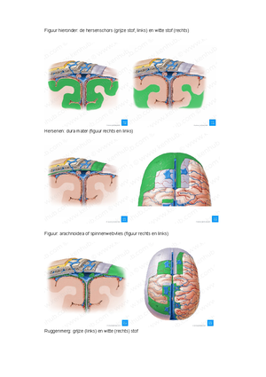 Fysciologie Anatomie - TAB 1.1 Anatomie En Fysiologie - AP Hogeschool ...