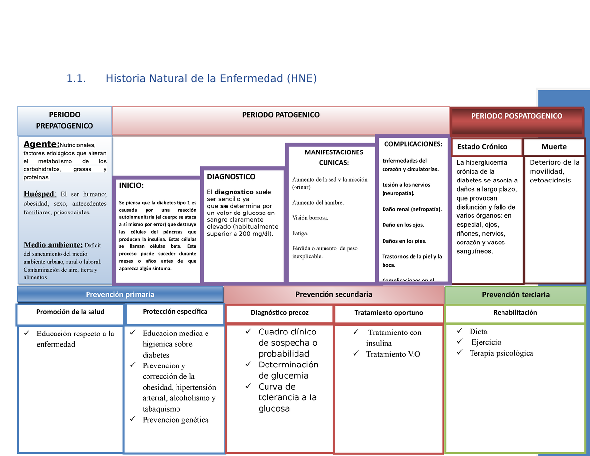 Hne Diabetes Historia Natural De La Enfermedad Hne Xxx Diabetes Mellitus T Afecci N