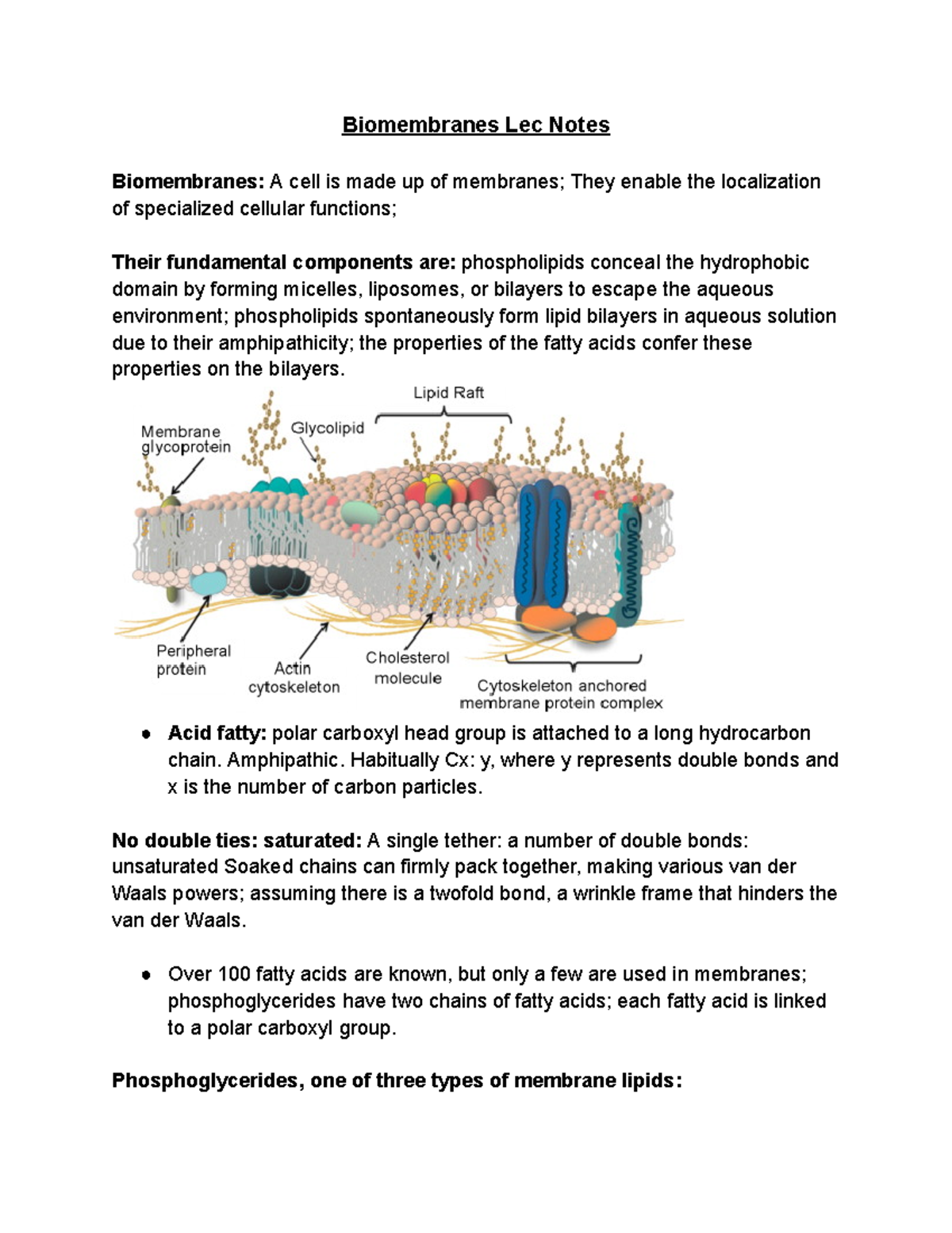 Biomembranes Lec Notes - Biomembranes Lec Notes Biomembranes: A cell is ...