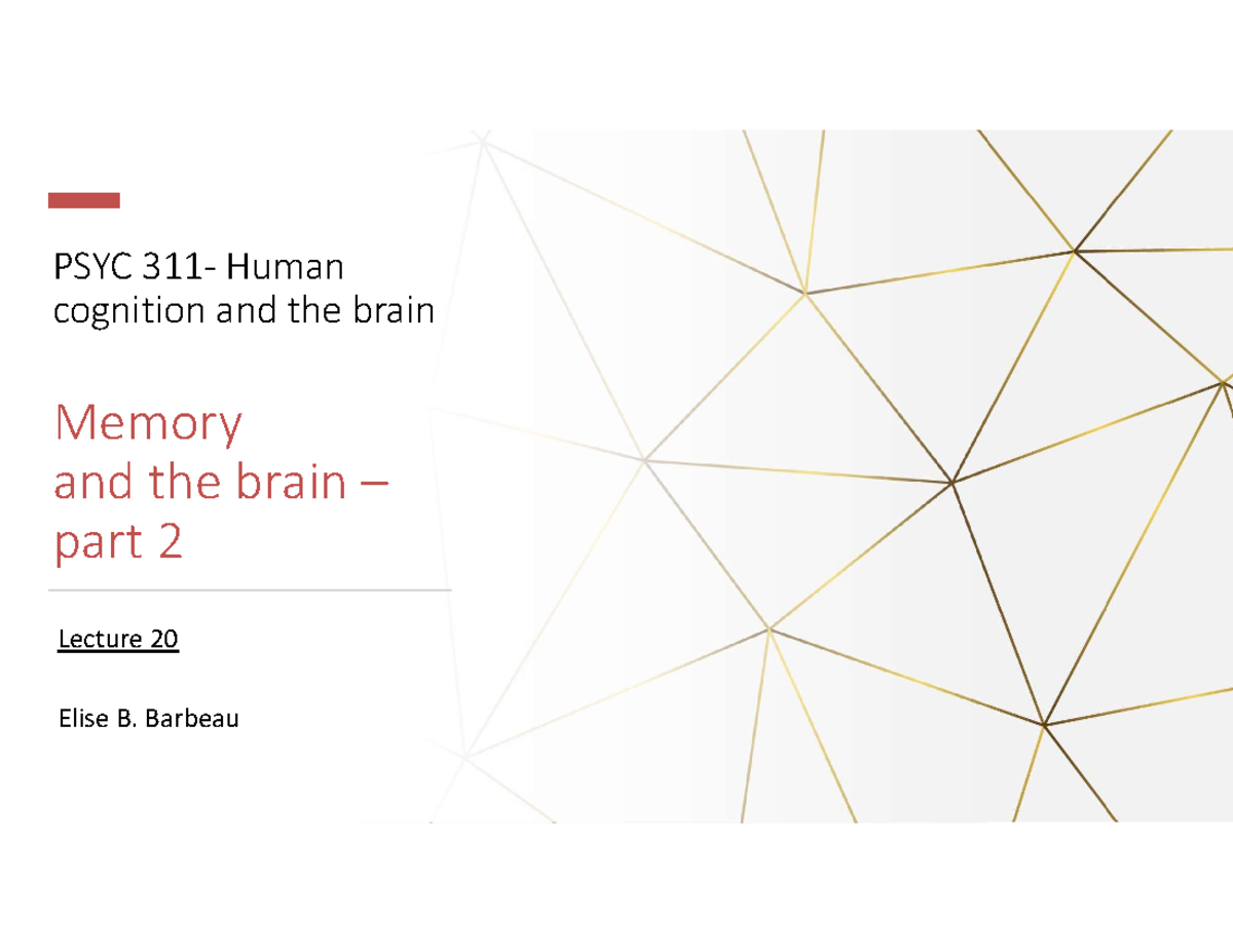 Lecture 20 Memory 2 - PSYC 311- Human Cognition And The Brain Memory ...