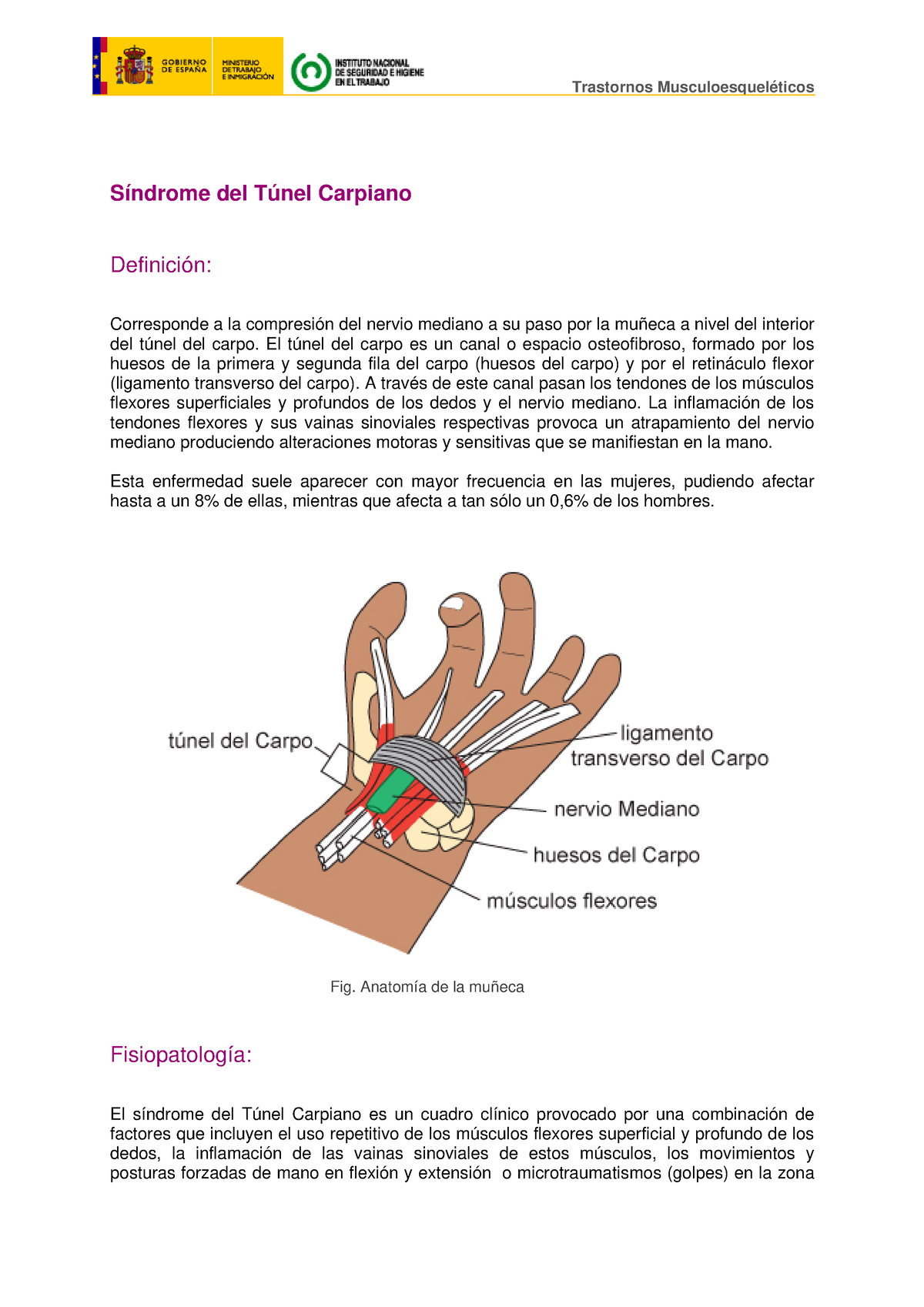 El Síndrome Del Tunel Carpiano - Trastornos Musculoesqueléticos ...