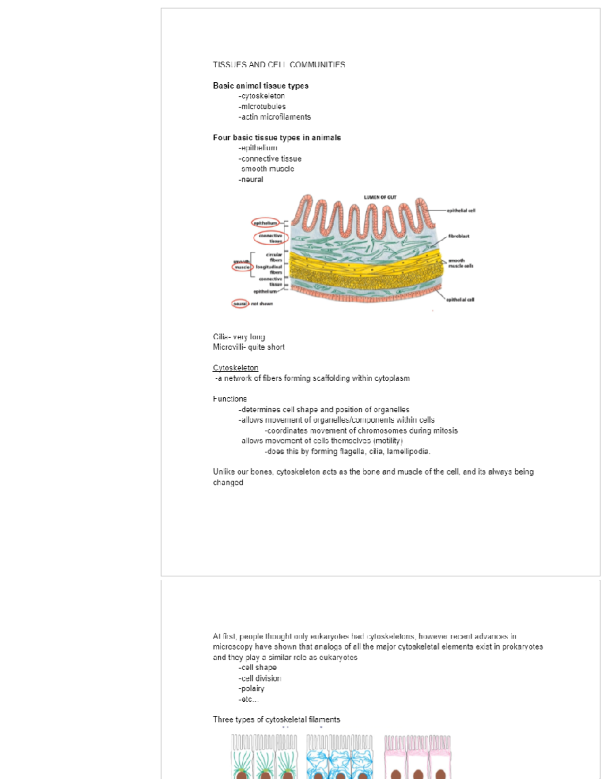 Biology Unit 8 - Google Docs - Biol 130 - Studocu