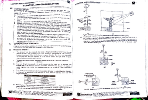 Free Chart Patterns Book - Basic Thermodynamics - Chart Patterns Cheat 