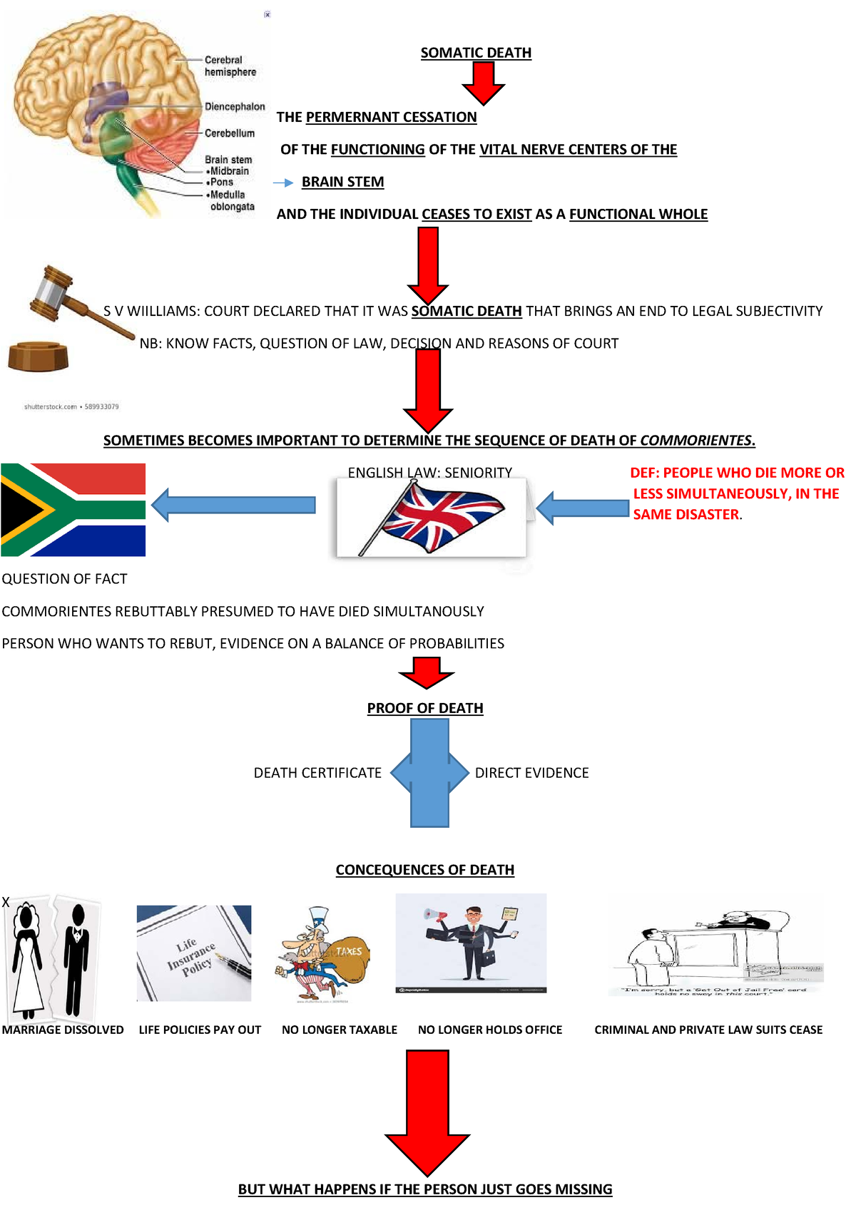 Mind Map Chapter 3 Newly Updated - SOMATIC DEATH THE PERMERNANT ...