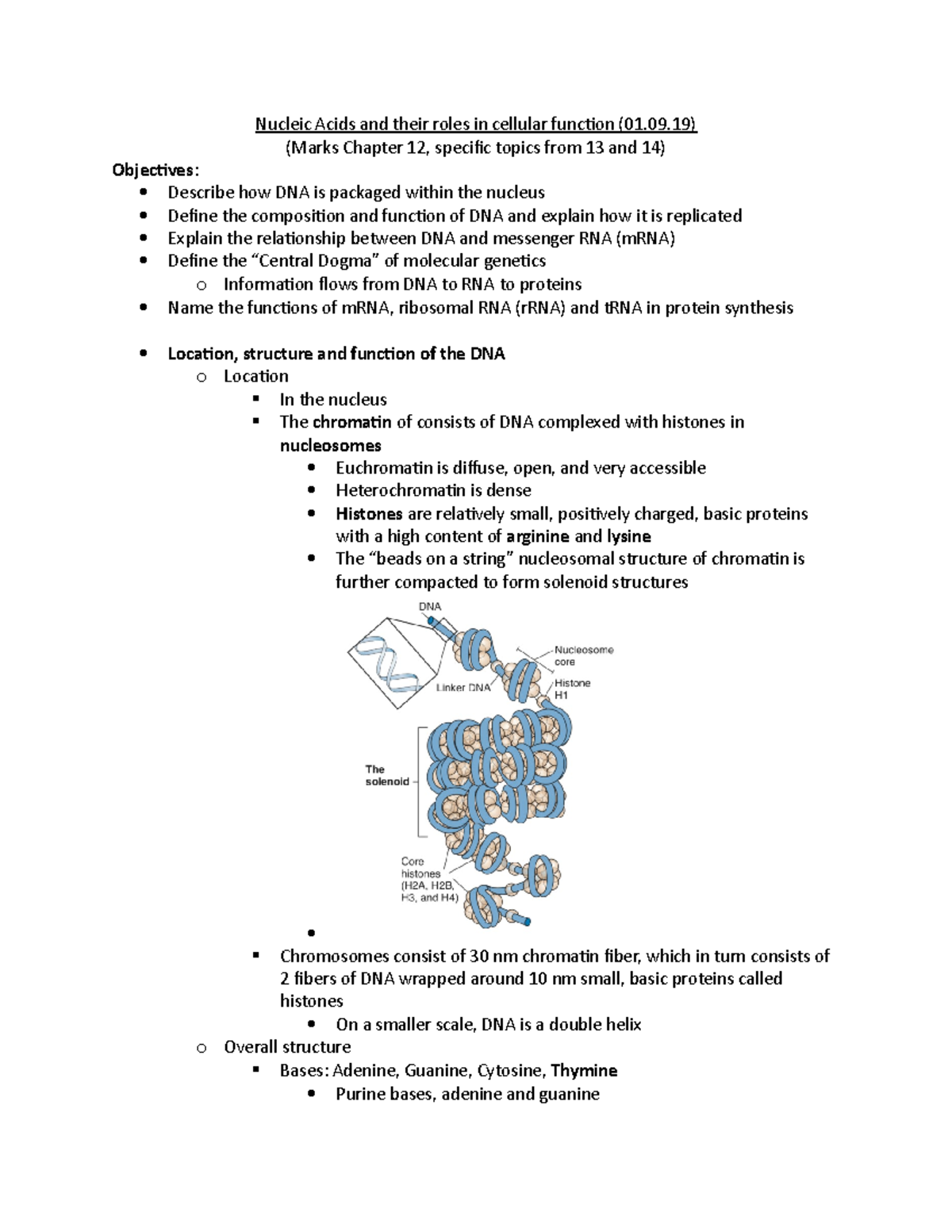 Chapter 12 Outline for Marks' Essential Medical Biochemistry - Nucleic ...