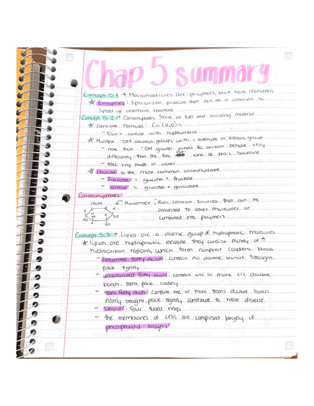 Chap 5 Summary - BSC2010 - Studocu