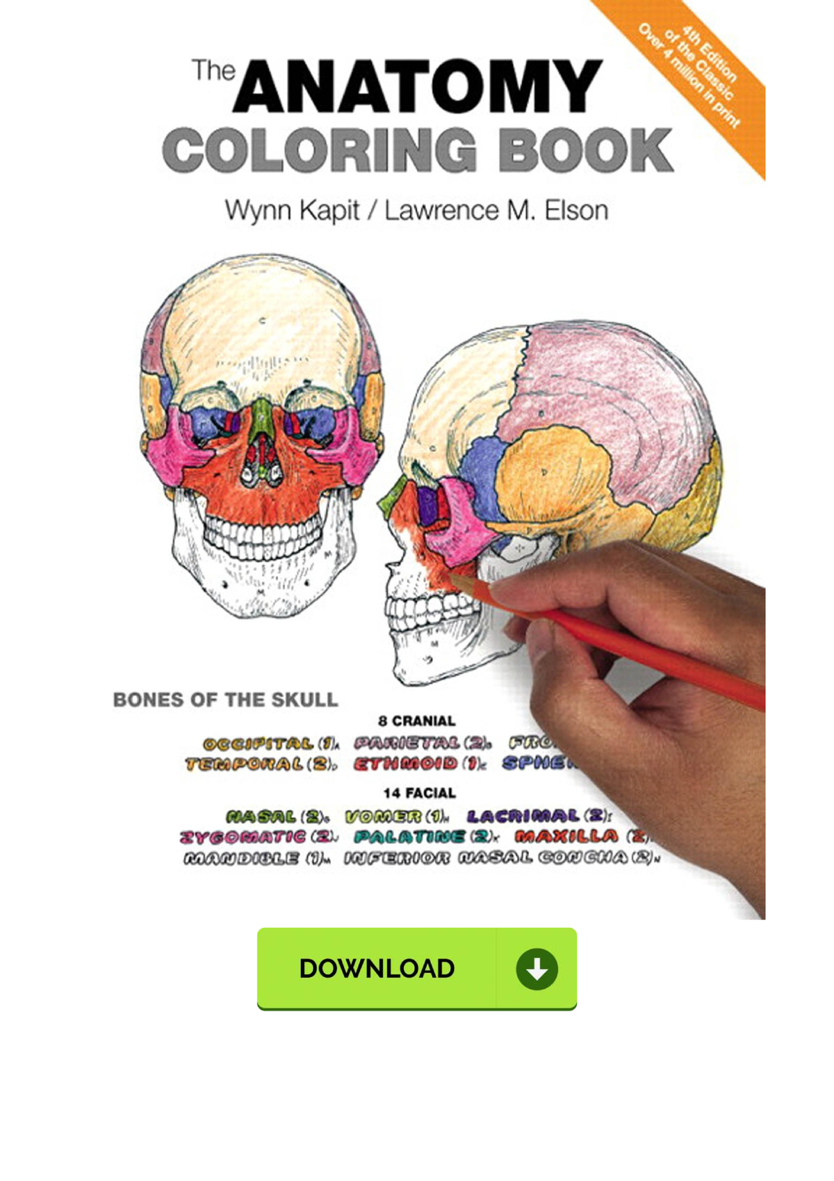 Anatomy Coloring Book ANAT101 Studocu