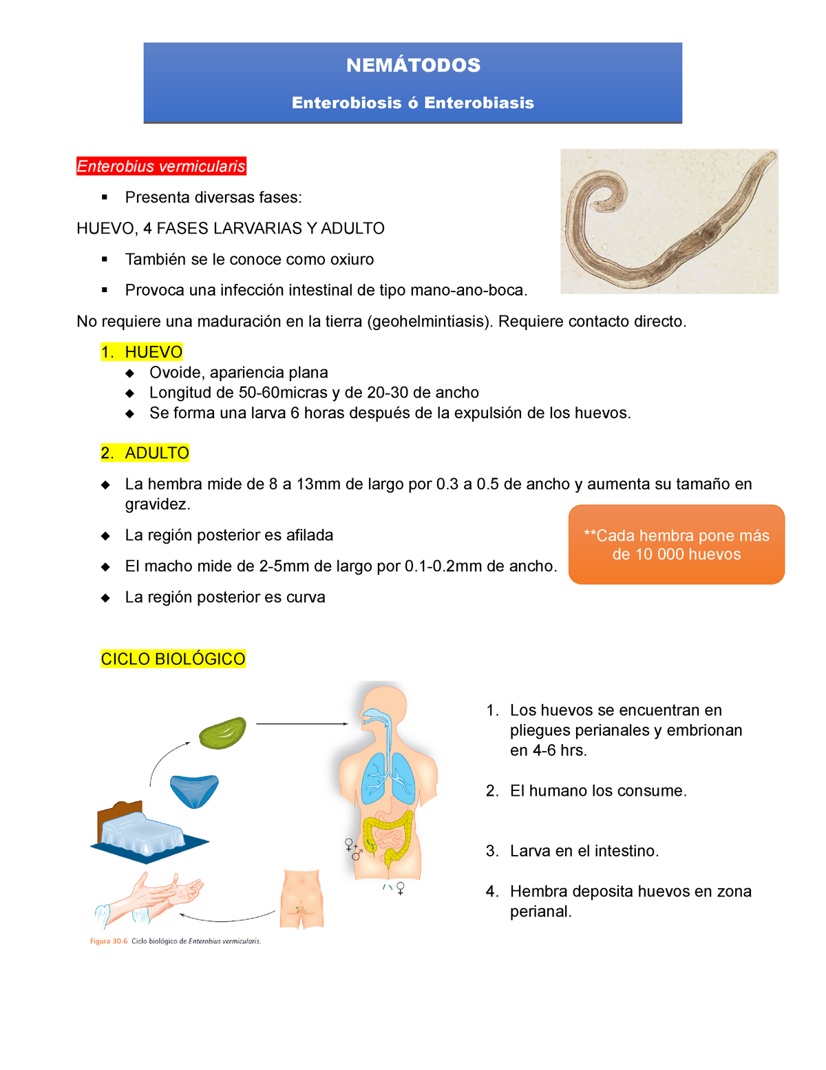 enterobiosis licenc