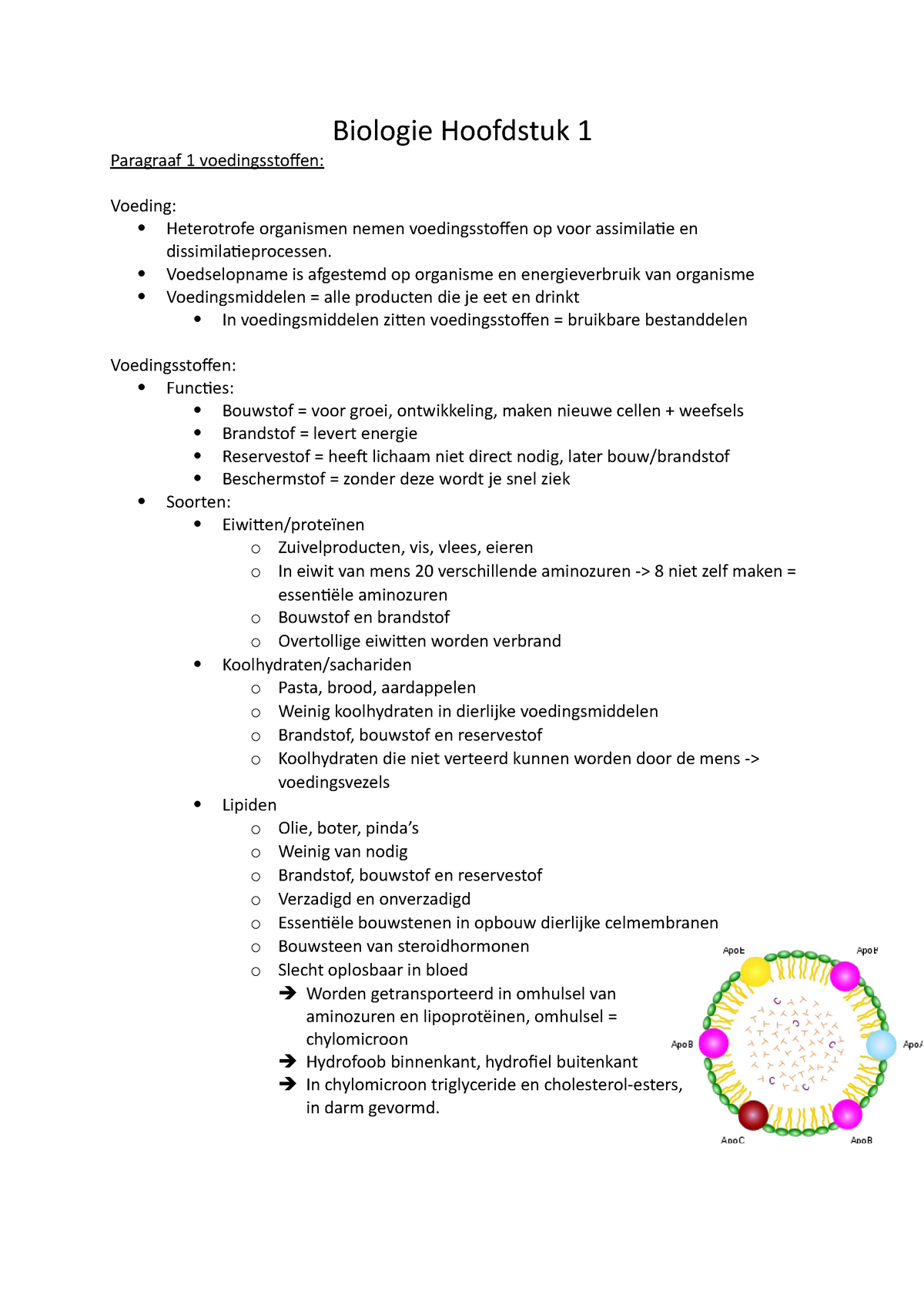 V Thema Voeding En Vertering Biologie Hoofdstuk Paragraaf Voedingsstoffen Voeding