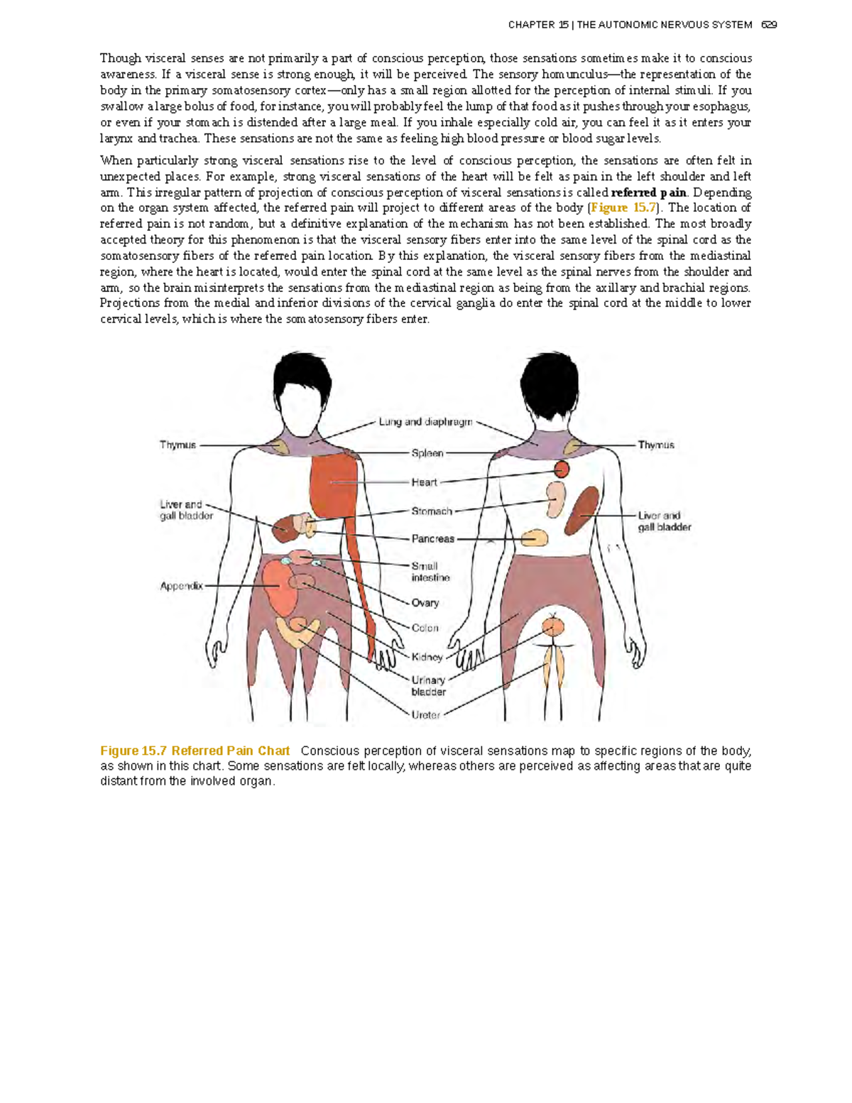 anatomy-physiology-213-though-visceral-senses-are-not-primarily-a