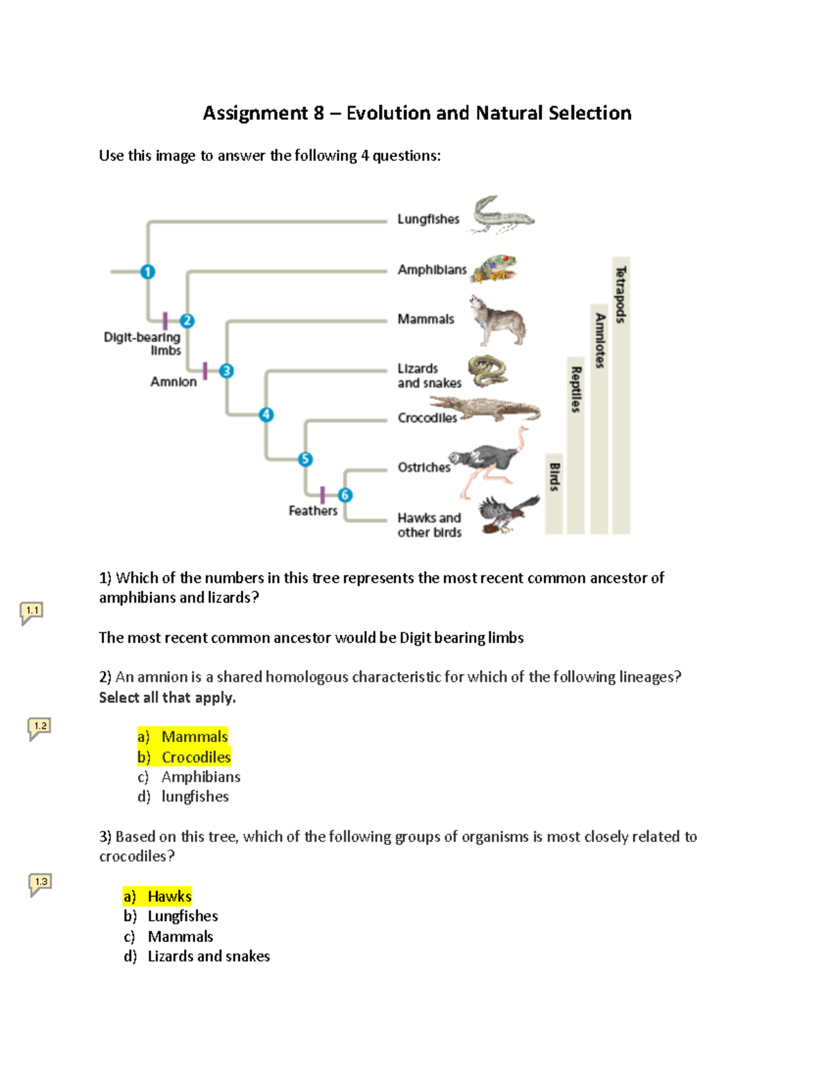 Assignement 8- evolution and Natural selection - corrected version ...