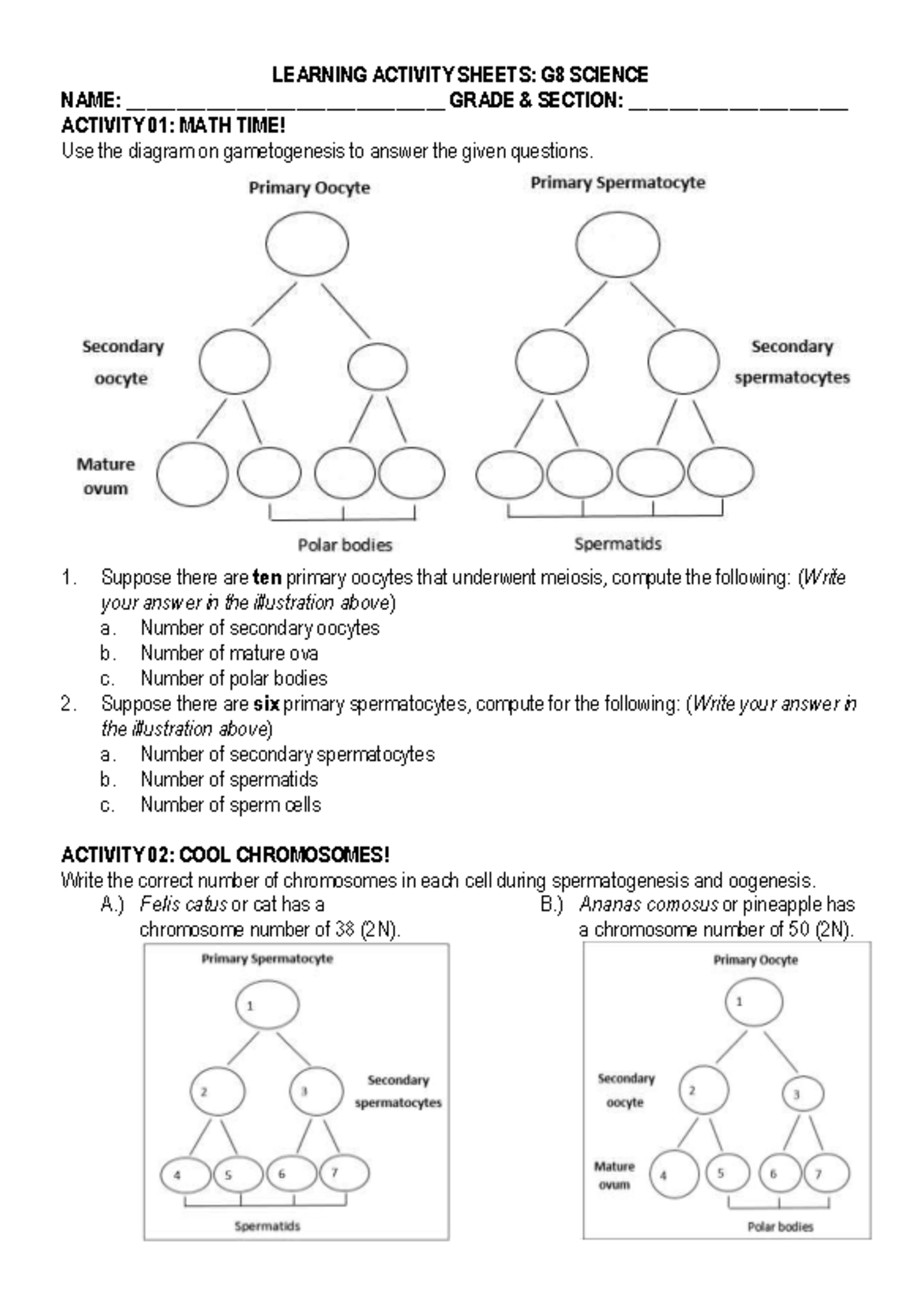 Learning Activity Sheets G8 Science - LEARNING ACTIVITY SHEETS: G8 ...