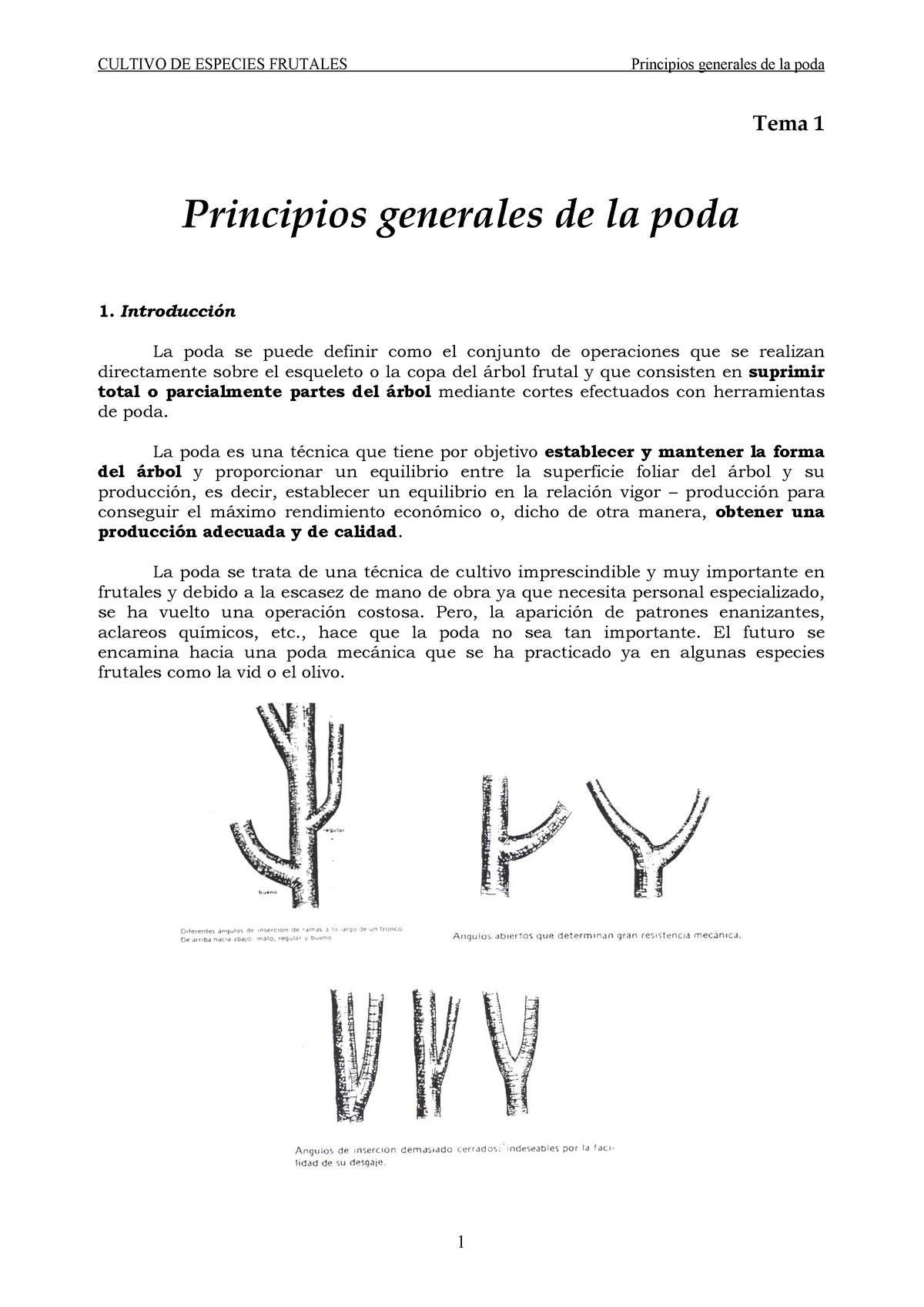 TEMA 1 - Principios Generales DE LA PODA - CULTIVO DE ESPECIES FRUTALES  Principios generales de la - Studocu