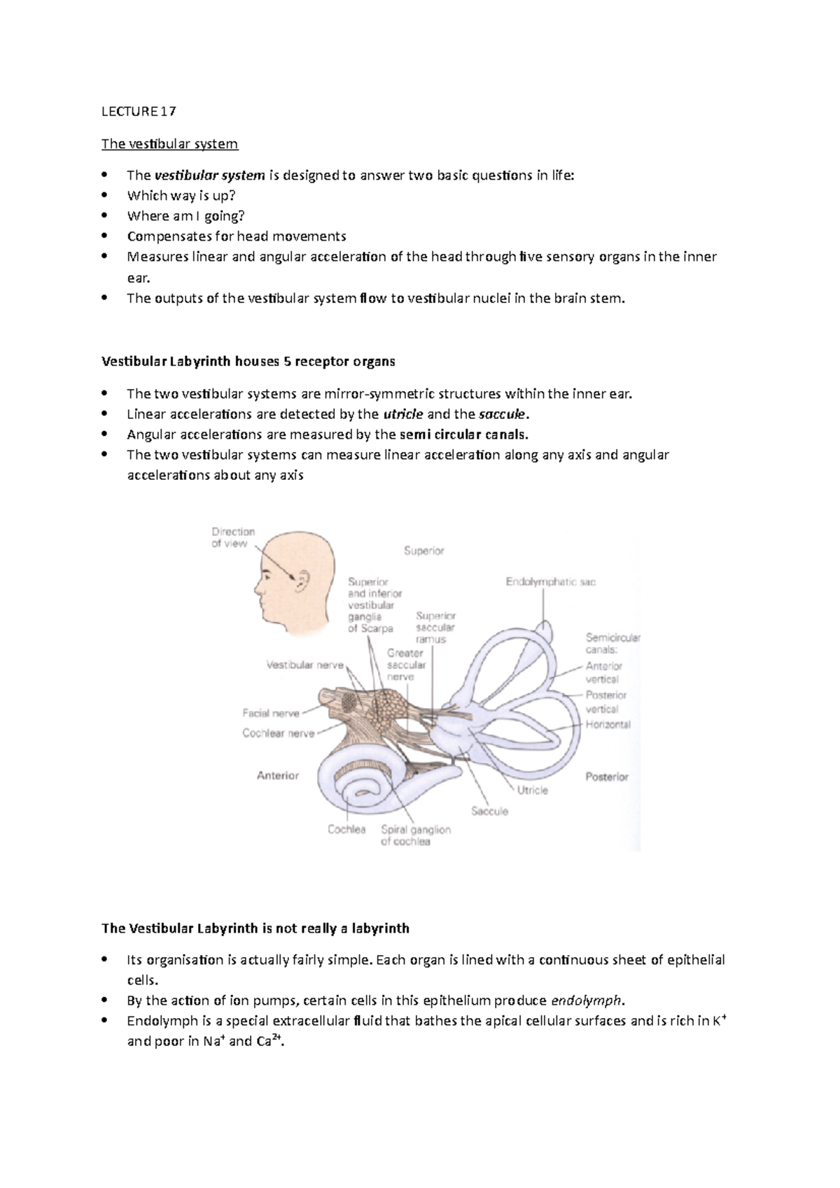 MS- Lecture 17- the vestibular system - LECTURE 17 The vestibular ...
