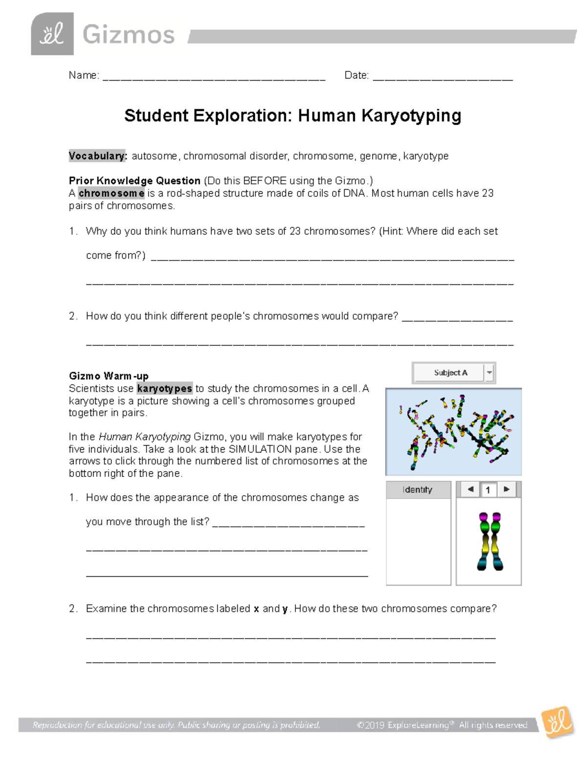 Human Karyotyping Gizmo - Name ...