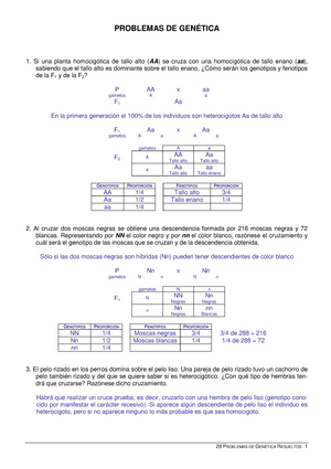 28 problemas resueltos (Leyes de mendel) - PROBLEMAS DE GENÉTICA Si una  planta homocigótica de tallo - Studocu