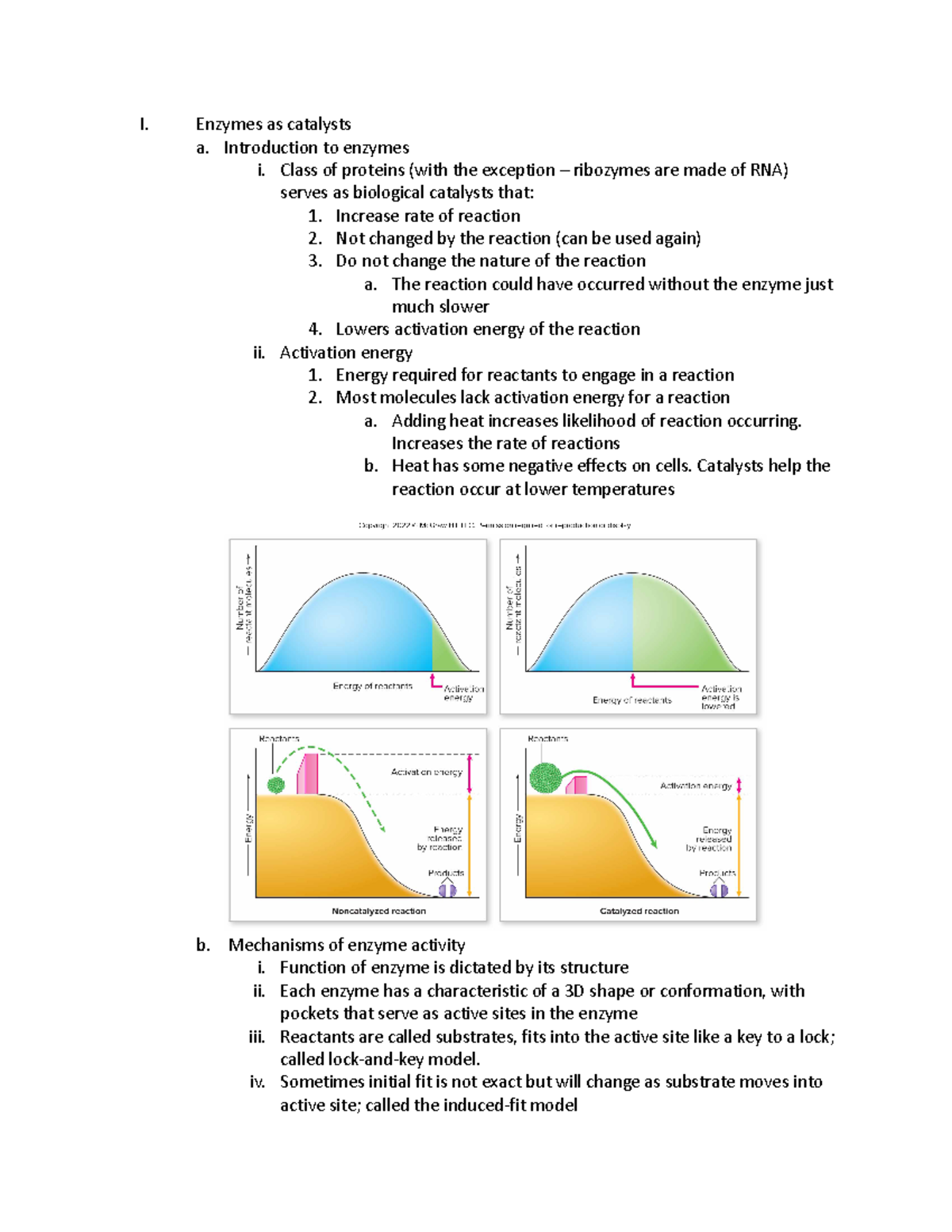 General physio chapter 4 I. Enzymes as catalysts a. Introduction to