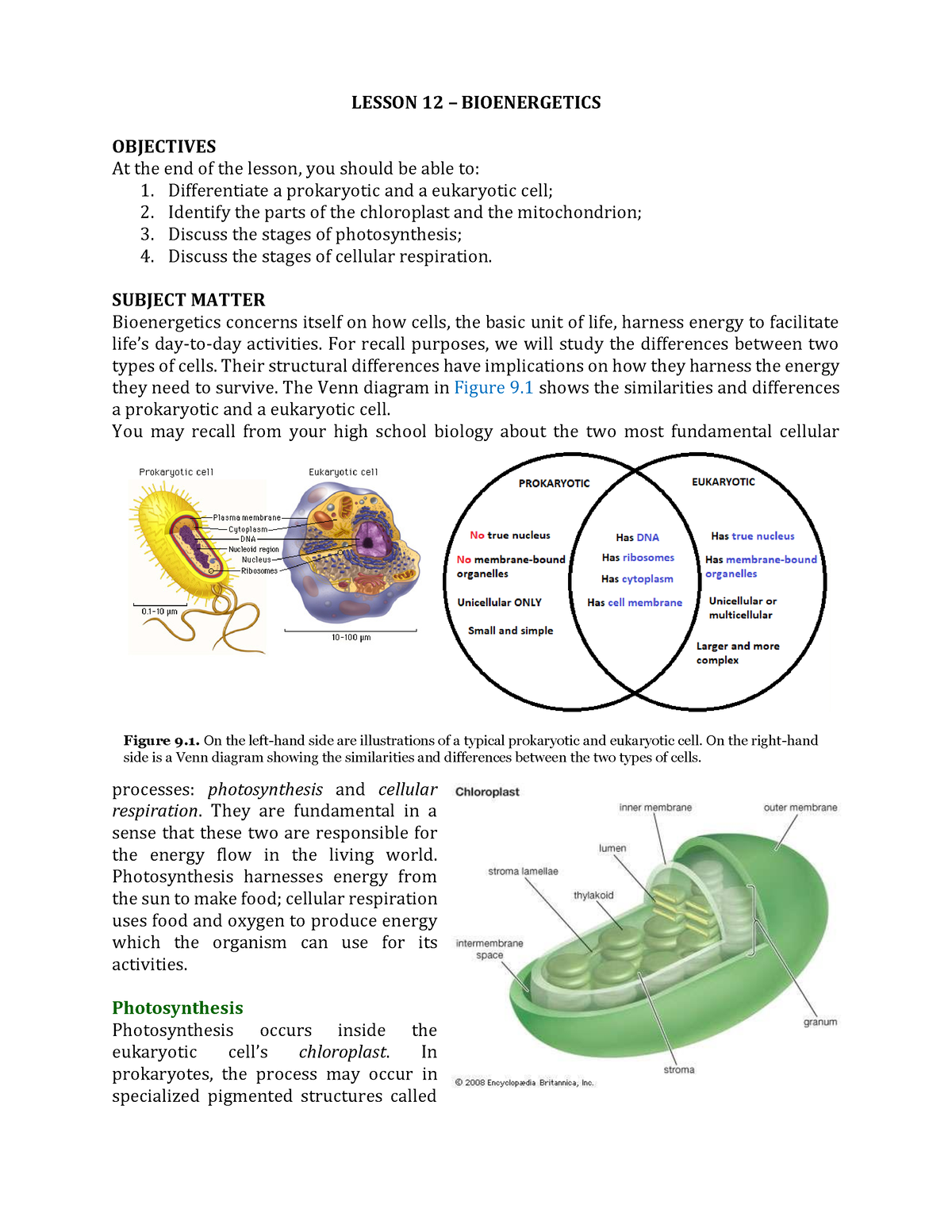 CH4 Lesson+12+Bioenergetics - LESSON 12 – BIOENERGETICS OBJECTIVES At ...