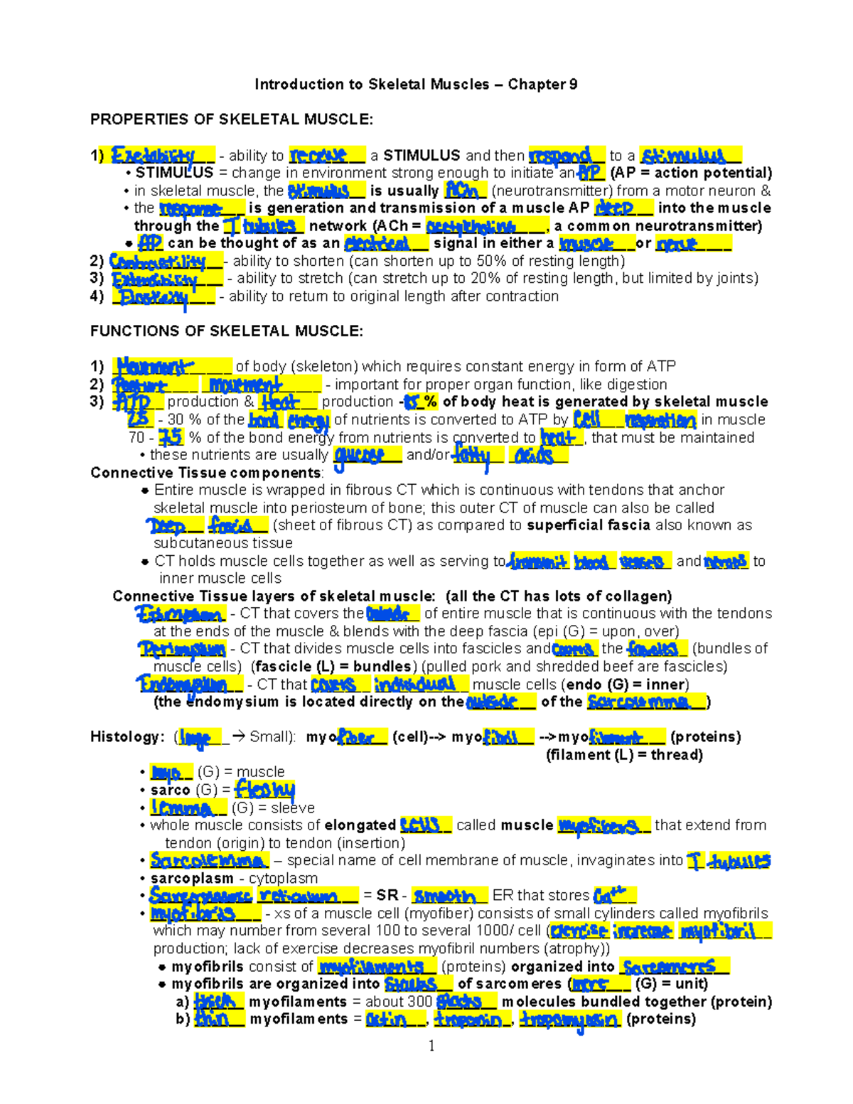 Chapter 9 Muscle Intro - Introduction to Skeletal Muscles – Chapter 9 ...