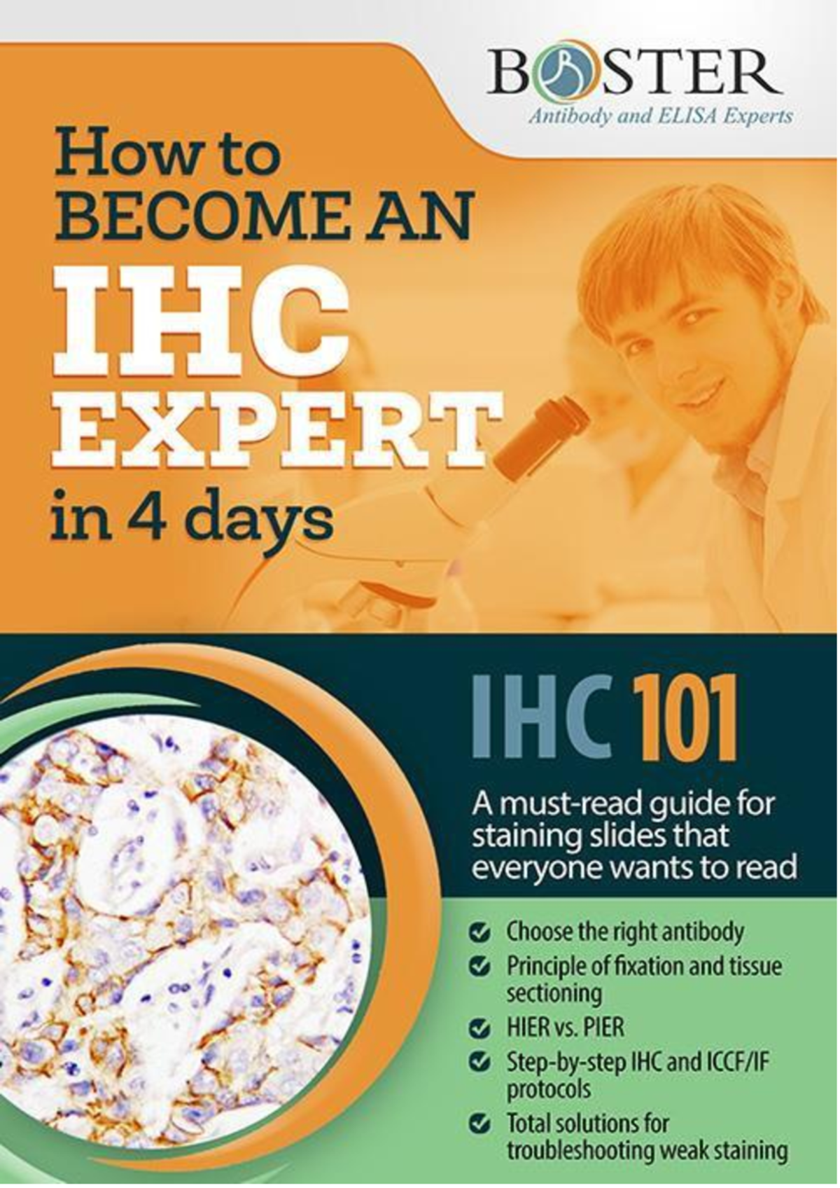 Immunohistochemistry Troubleshooting Handbook - Introduction ...