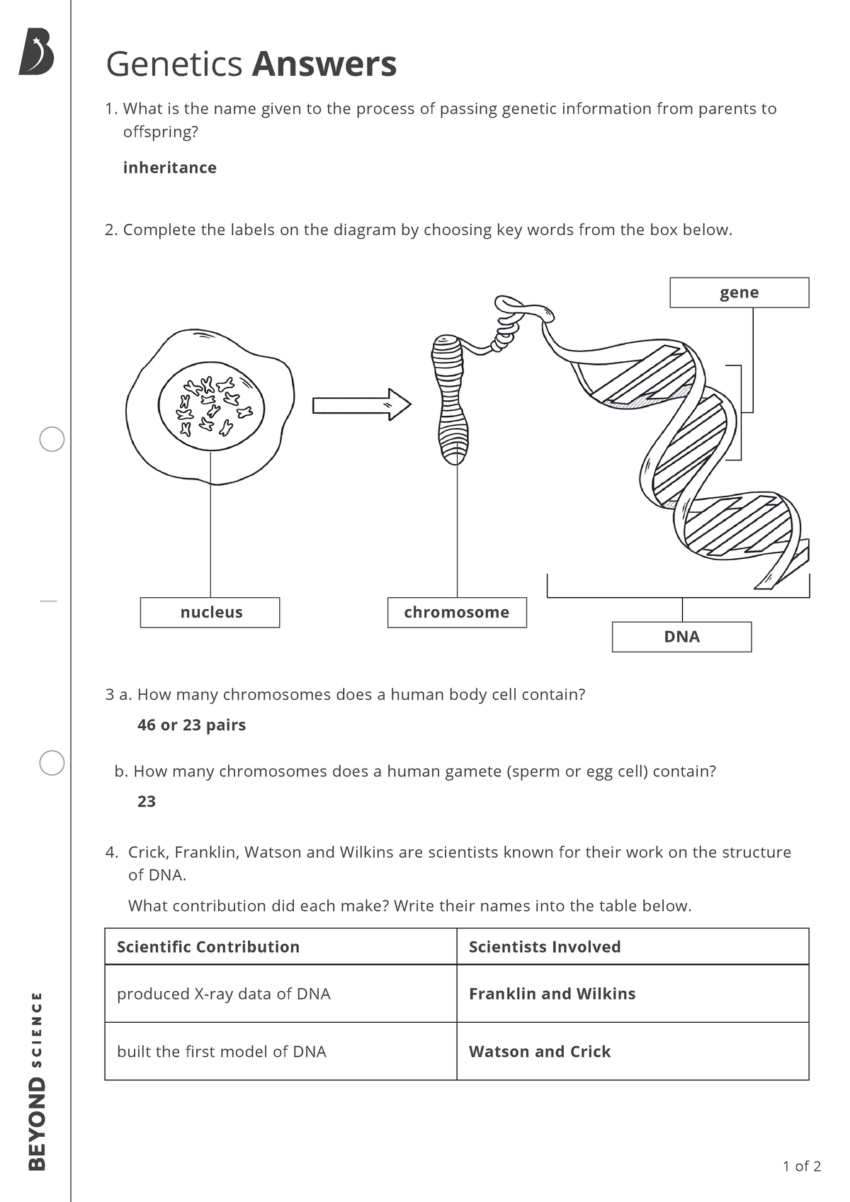 genetics assignment answers