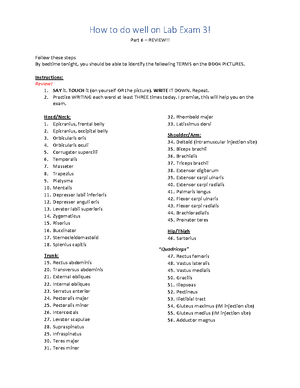 Successful Studying for Lab Exam 3 part 5 - How to do well on Lab Exam ...