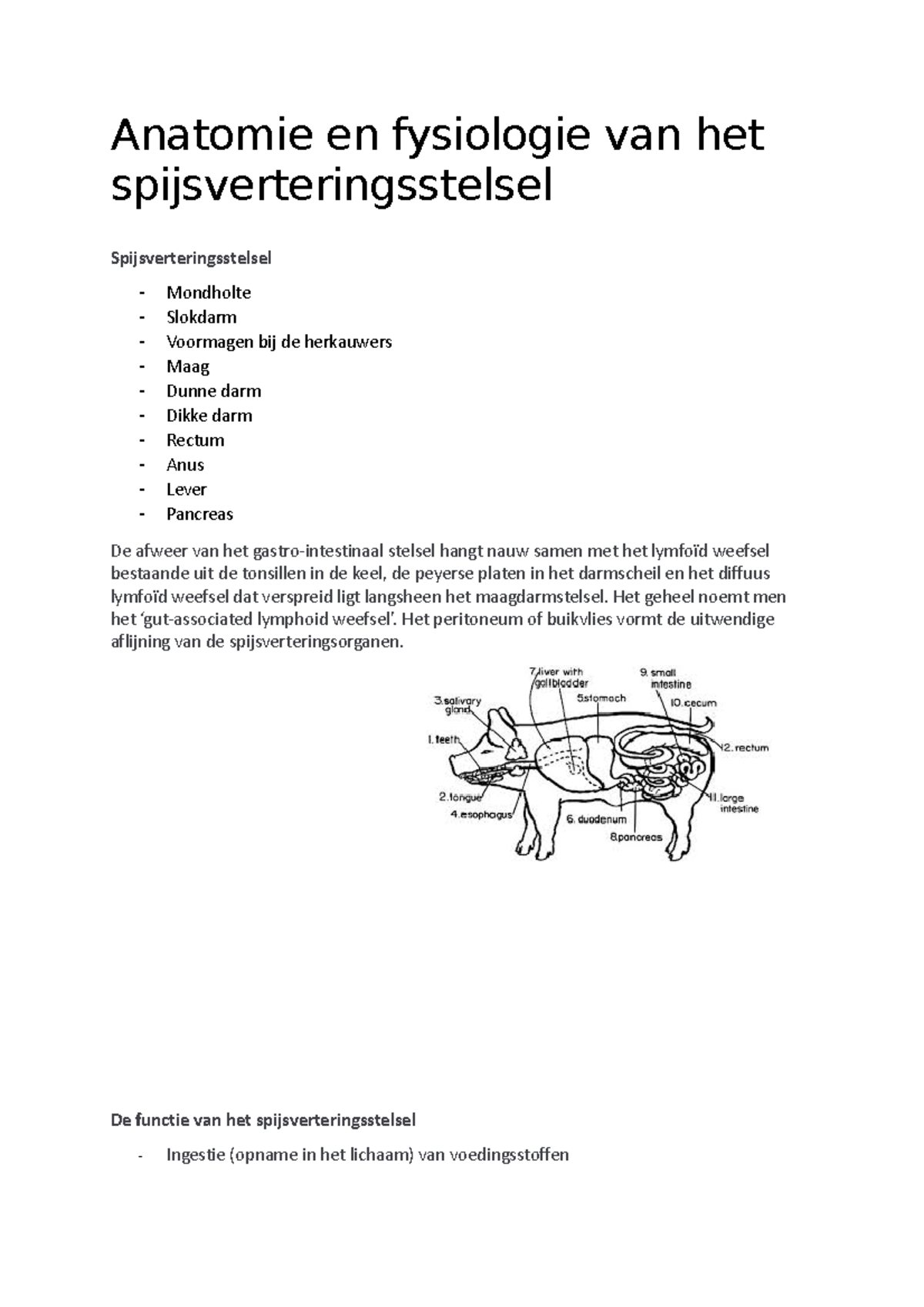 Theorie - Leerpad 3 - Anatomie En Fysiologie Van Het ...