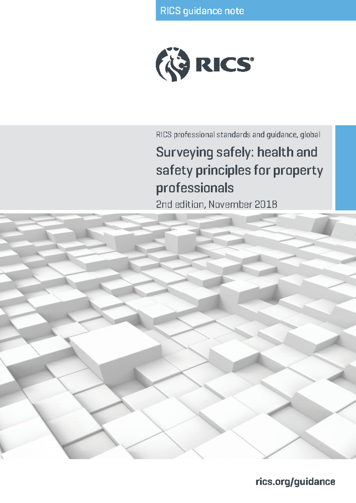 Surveying safely - rics/guidance RICS guidance note RICS professional ...