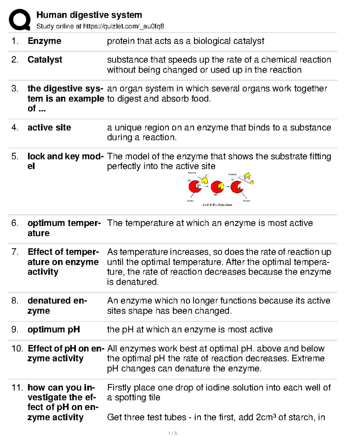 Digestive system Study online at quizlet/_au0fq Enzyme protein that