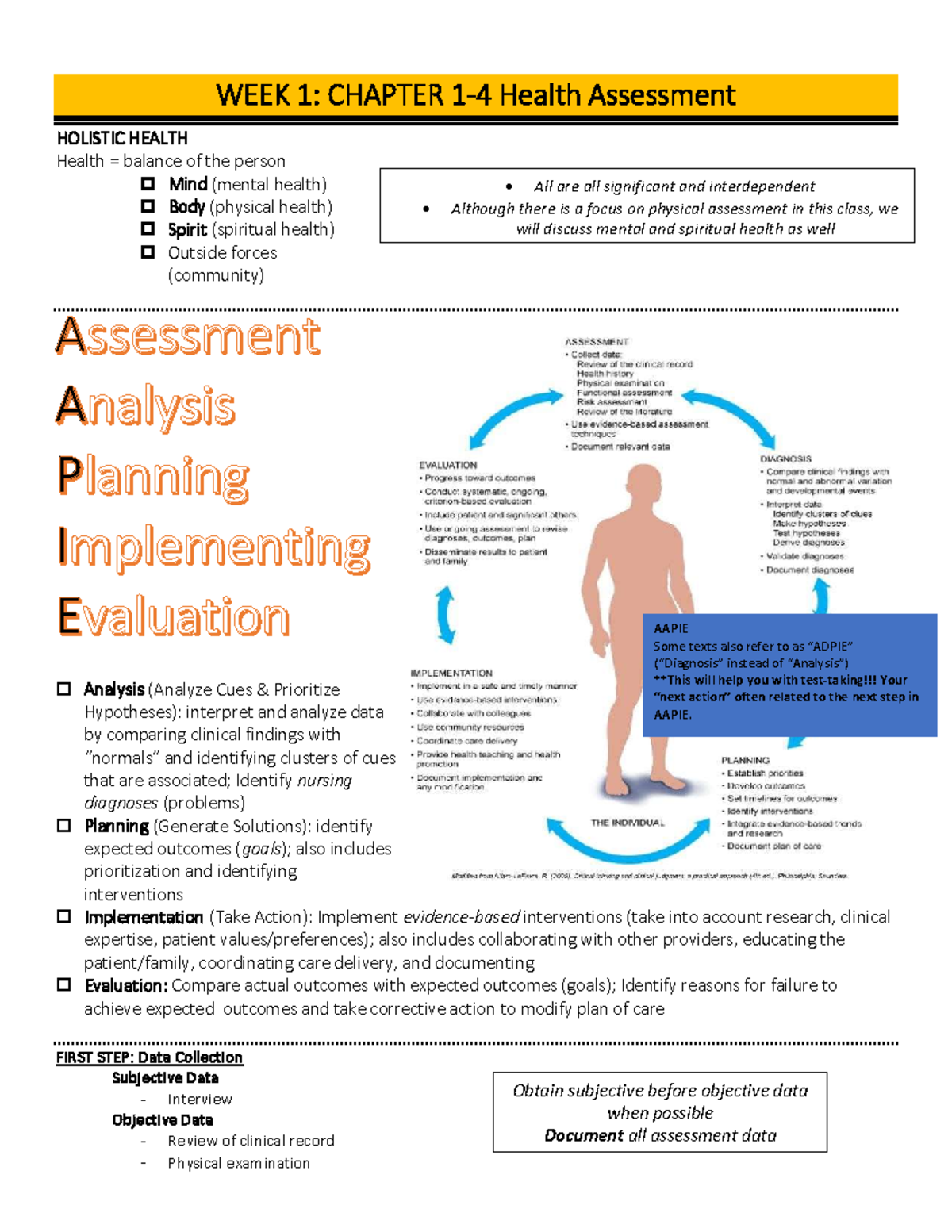 Week 1 Health Assessment Notes - WEEK 1 : CHAPTER 1 - 4 Health ...