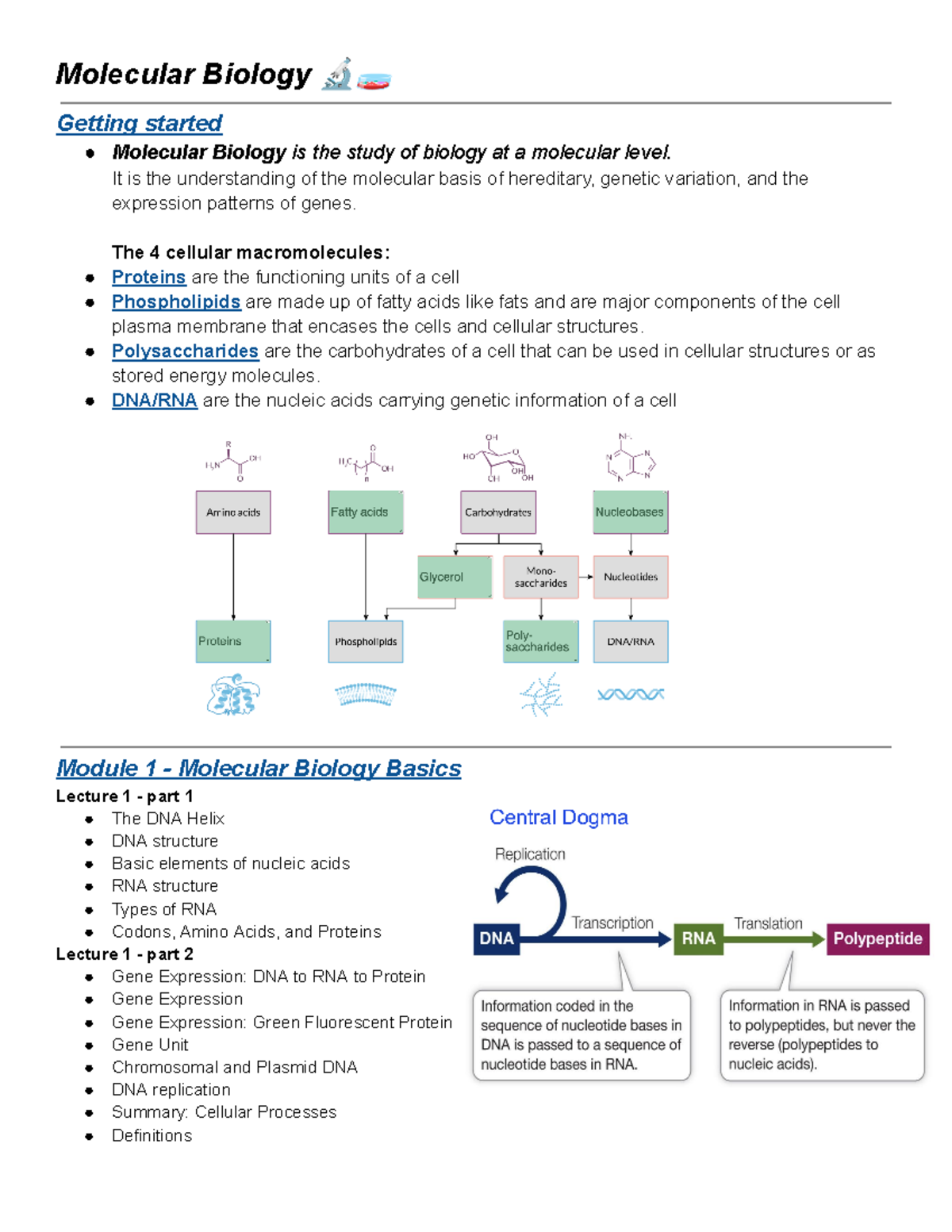 91132 Molecular Biology Notes - Molecular Biology 🔬🧫 Getting started ...
