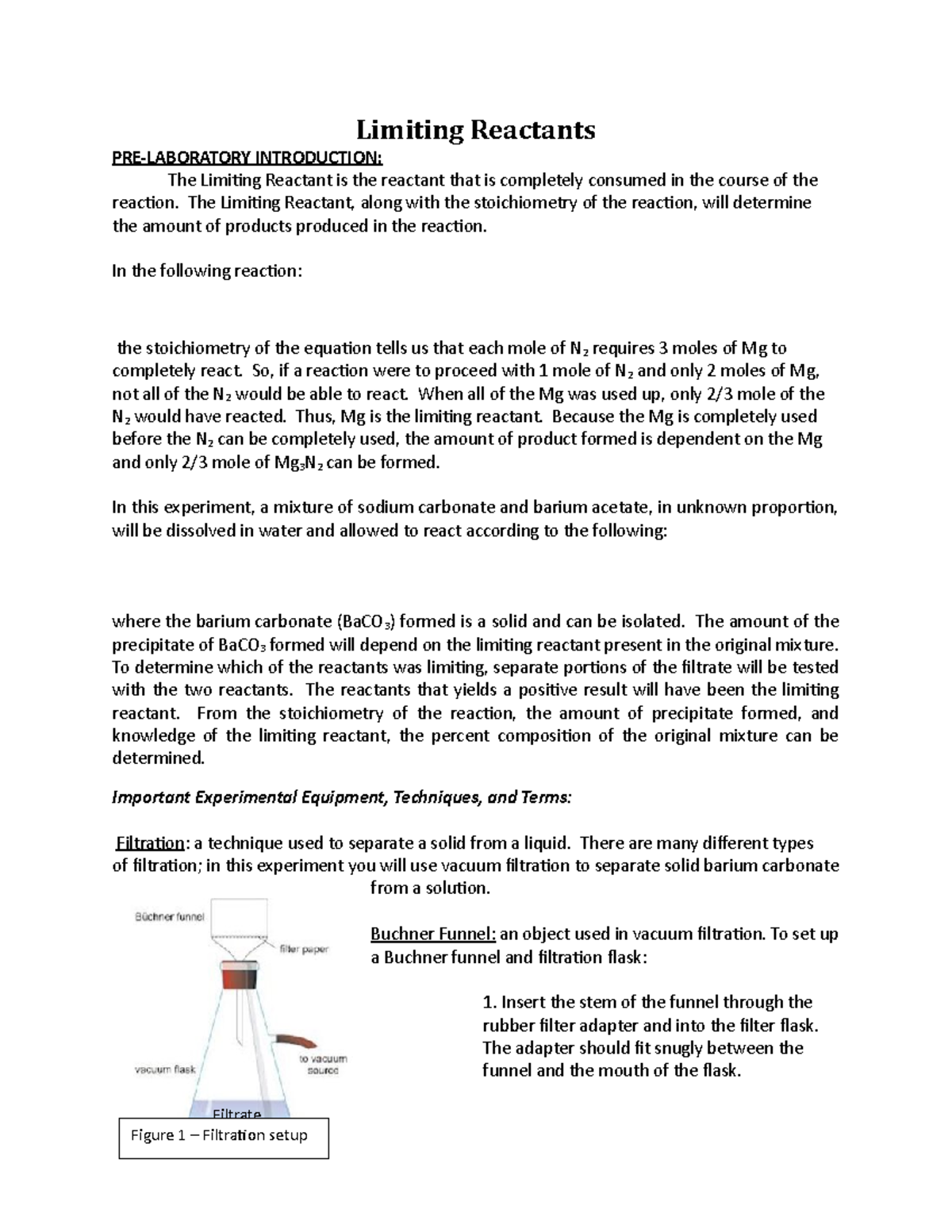 Limiting Reactants with lab notebook report Filtrate