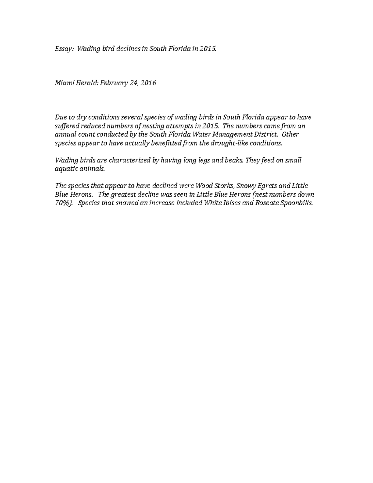 Wading Birds in Florida essay - Essay: Wading bird declines in South